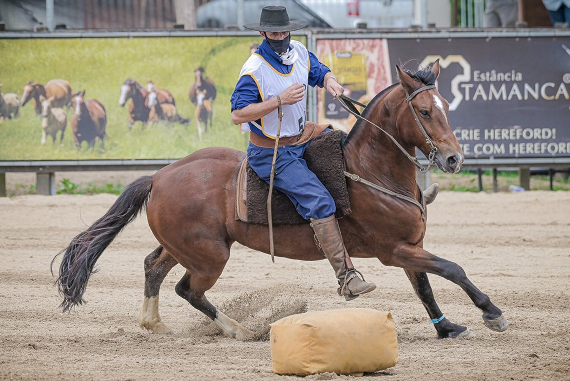 Fernando Gonzales montando Cadejo da Pavei