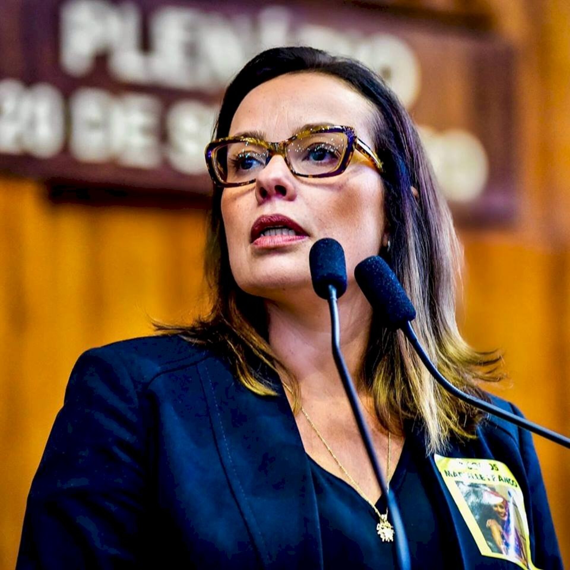 Projeto original é de Juliana Brizola, mas foi aprovado com mudanças.
