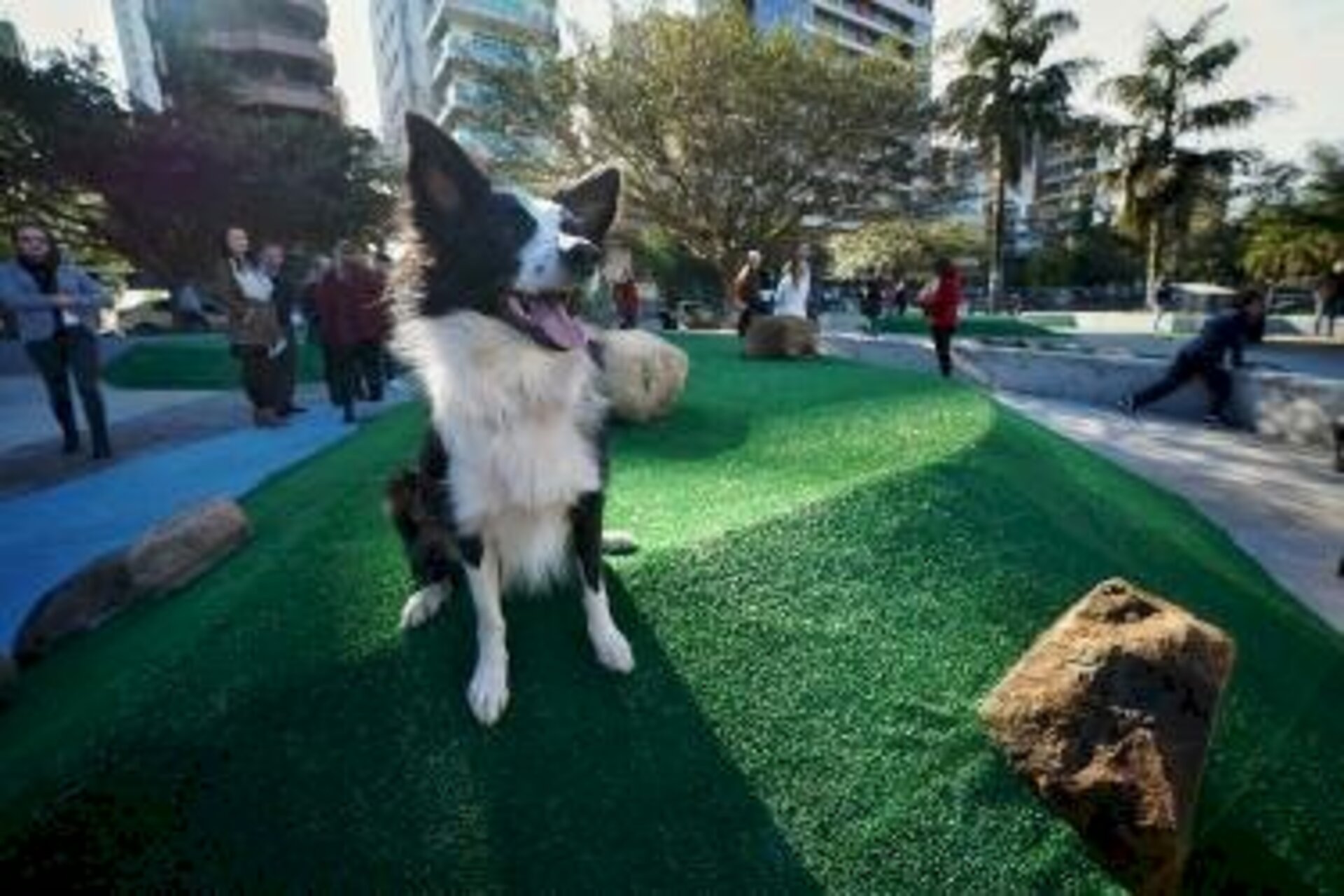 Projeto foi inspirado em cachorródromos da capital.
