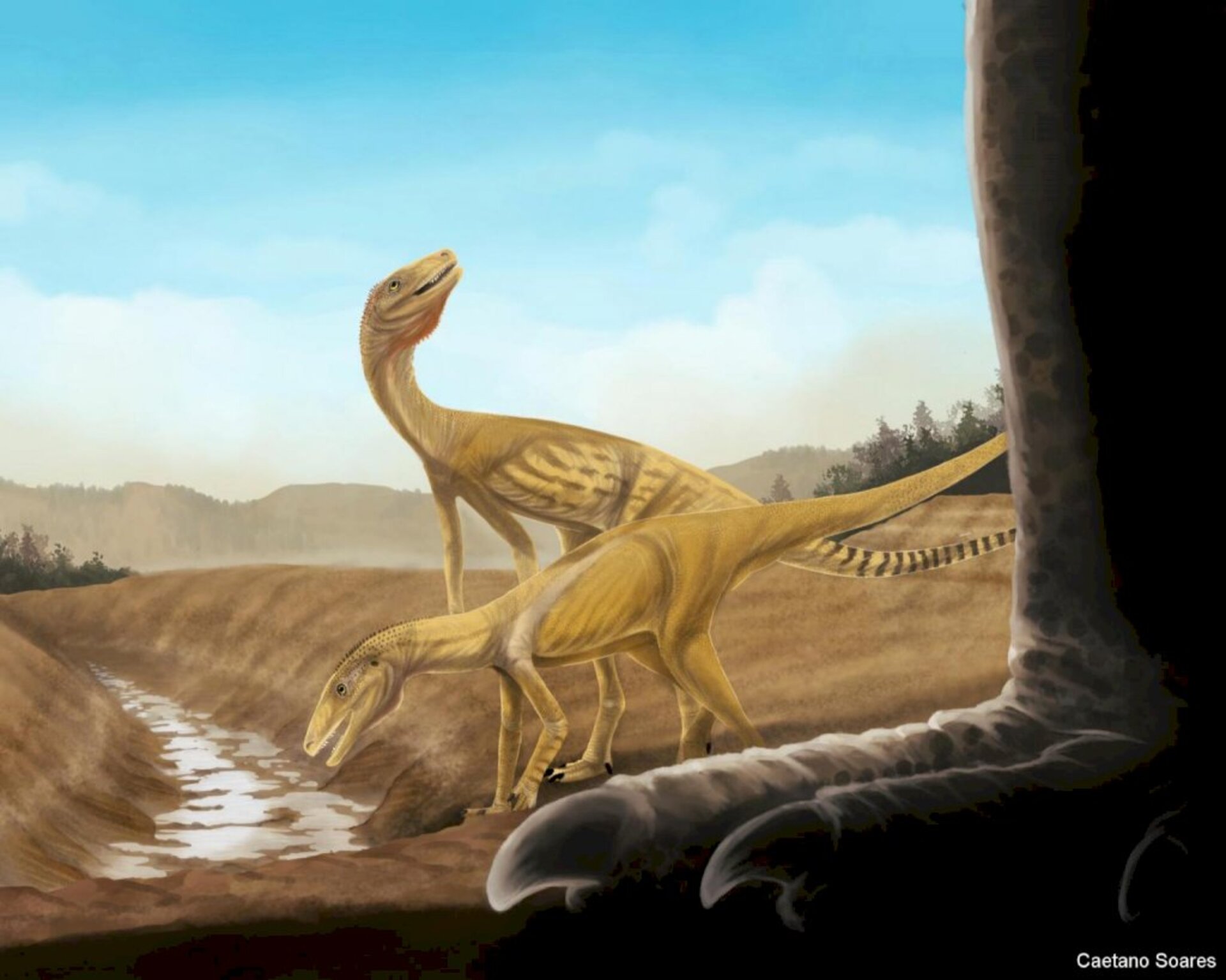Ilustração dos precursores dos dinossauros feita pela universidade.
