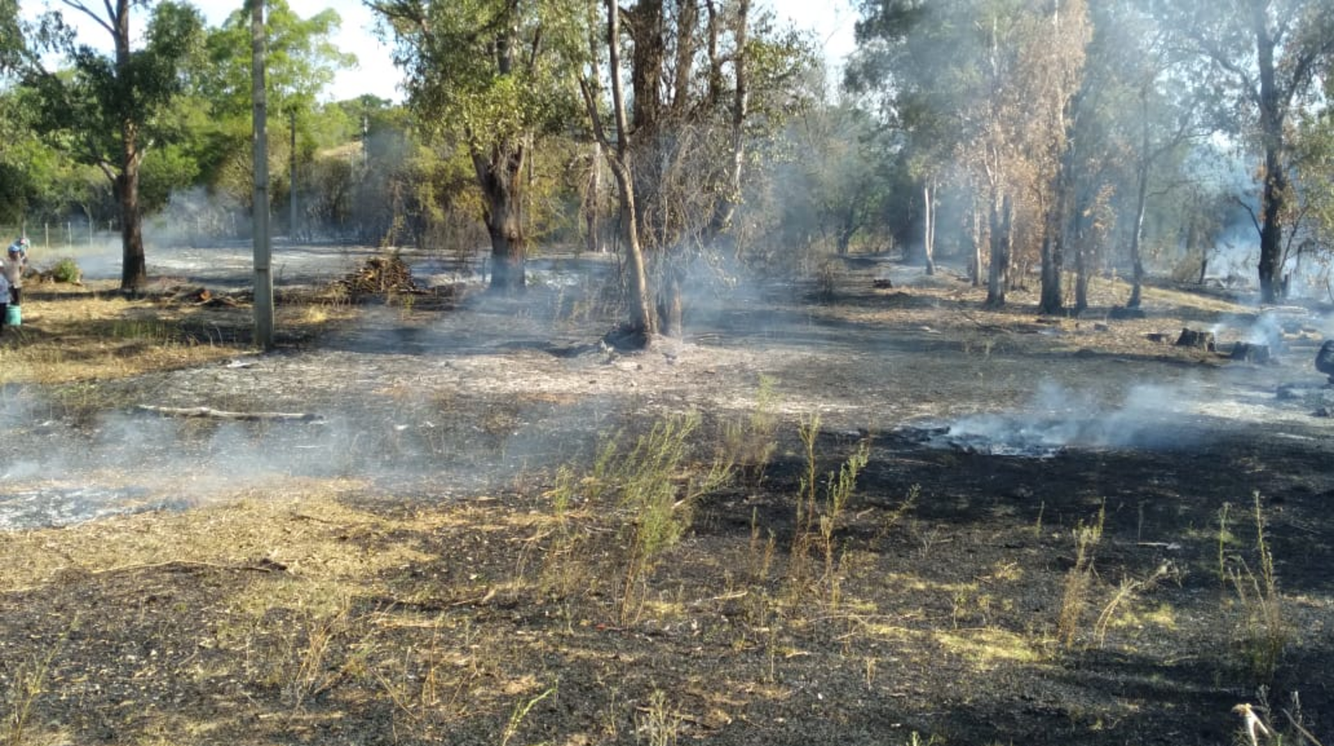 O incêndio em vegetação no Imbaá iniciou a partir da queima de lixo.