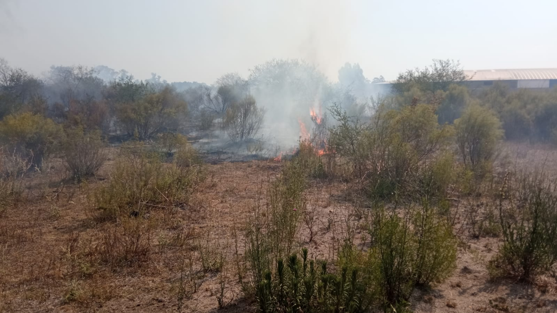 Incêndio iniciou por volta de 15h45min desta terça-feira.