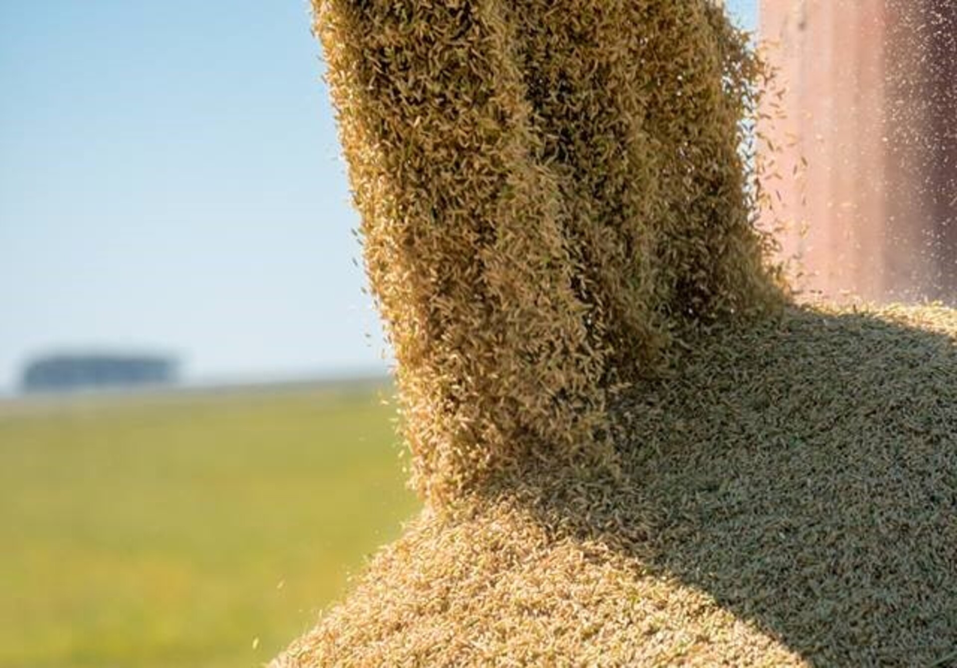 Qualidade do arroz brasileiro e alta dos preços internacionais estão entre os tópicos a serem debatidos.