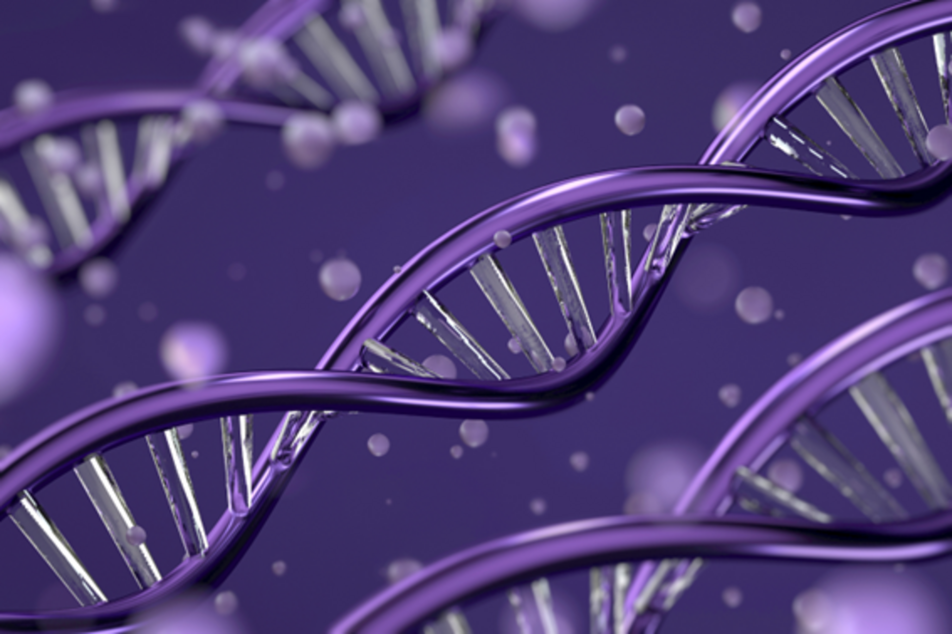 Pesquisadores canadenses descobriram o gene.