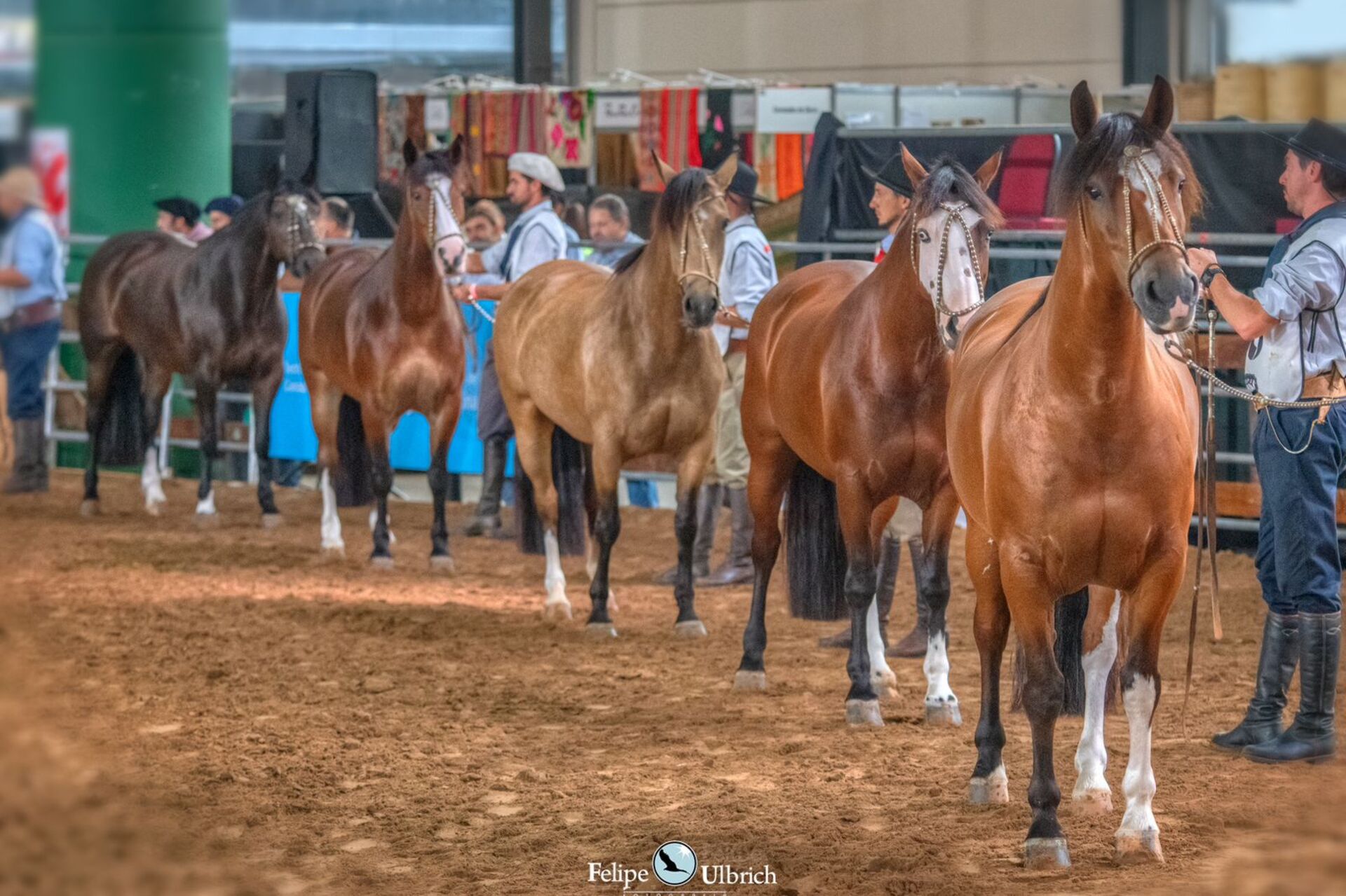 La Rural, em Buenos Aires, sedia o evento que tem continuidade na manhã de hoje.