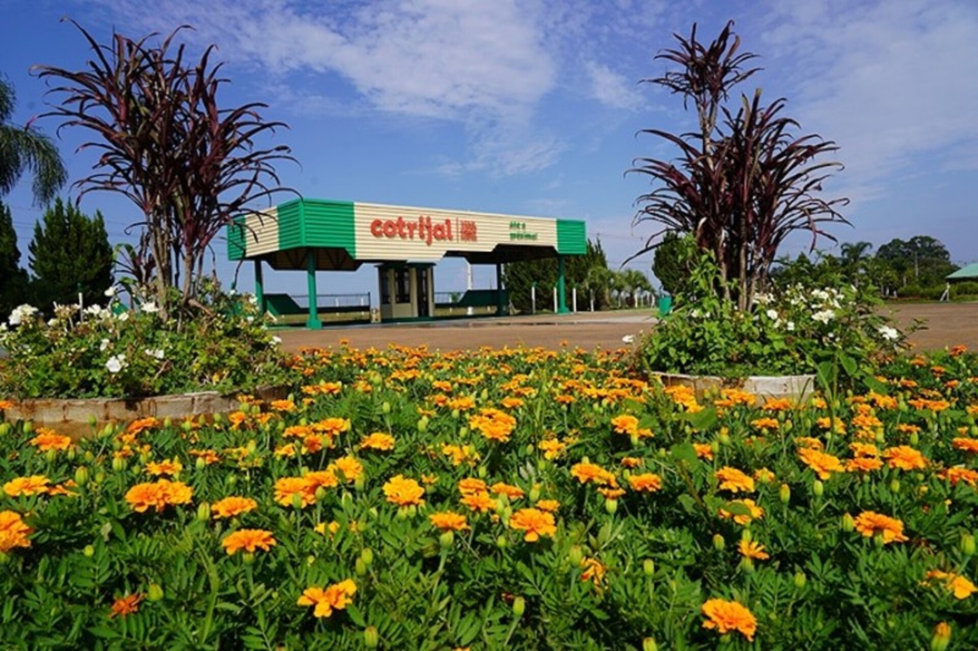 Feira começa nesta segunda, em Não-Me-Toque