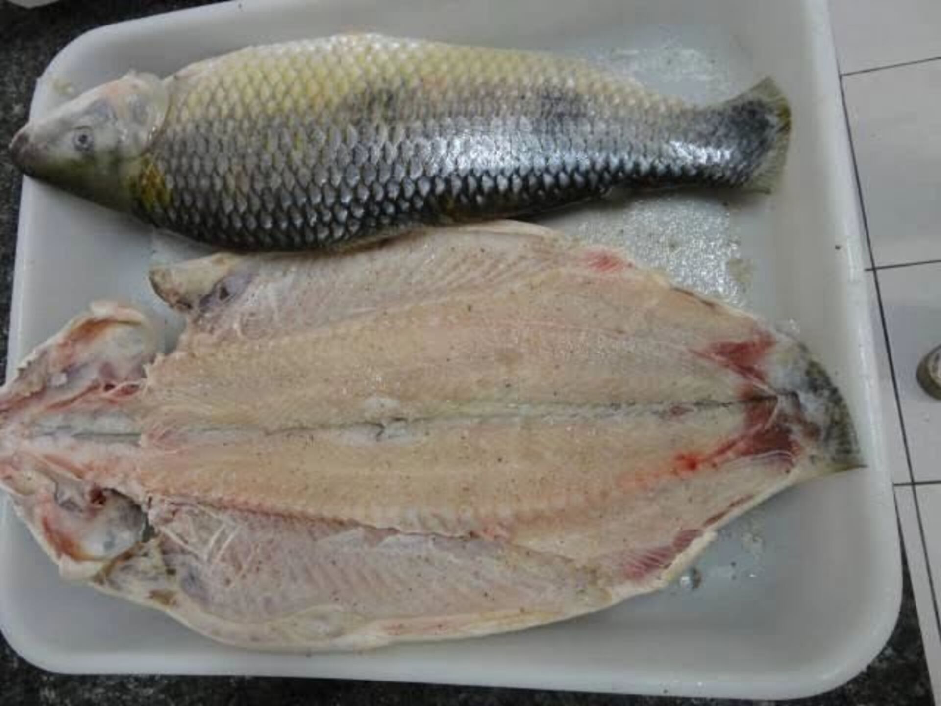 O propósito da feira é incentivar o comércio local de peixes na época que antecede a Páscoa.