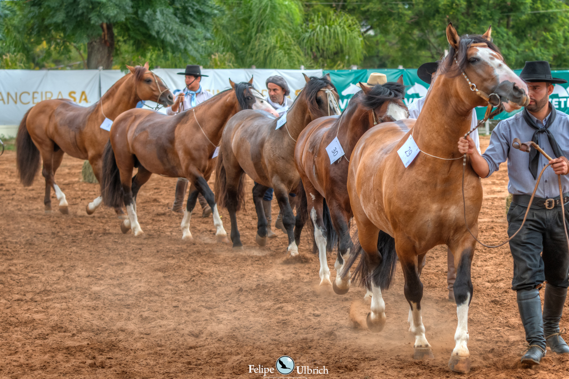 Evento ocorreu no Parque da Associação Rural de Santana do Livramento, pelo segundo ano consecutivo.