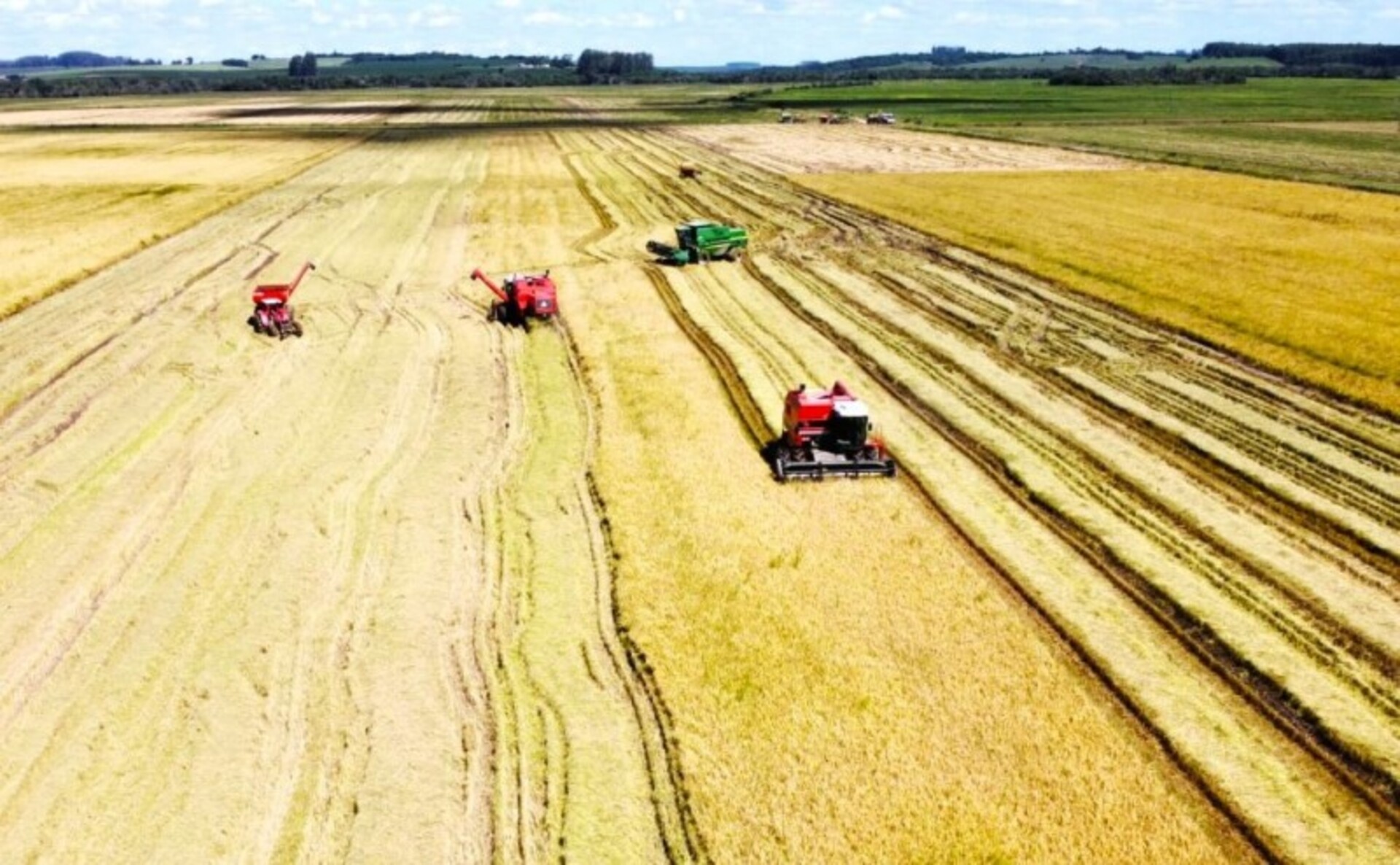 Produtores do RS já colheram 688,8 mil hectares.