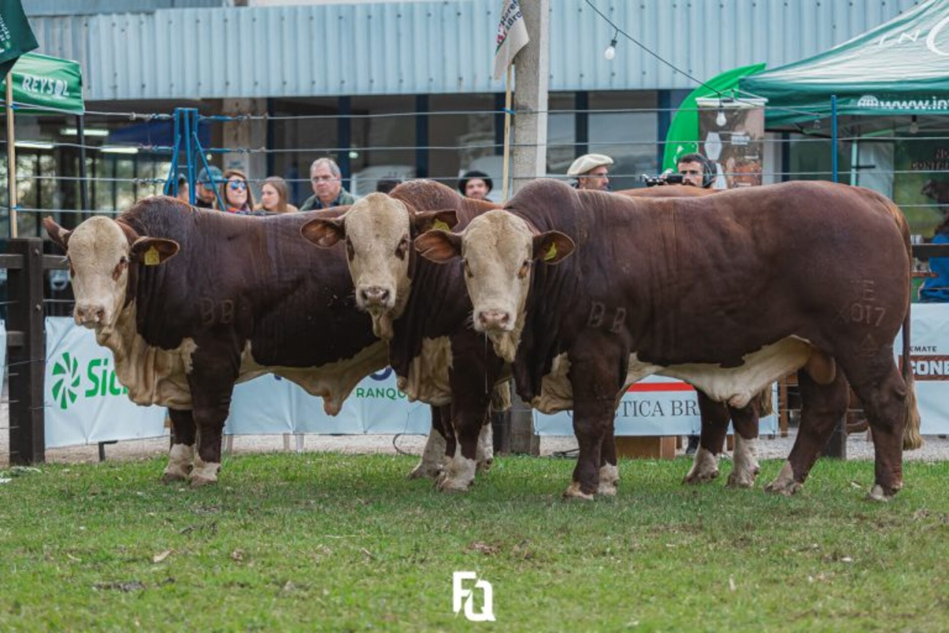 Evento acontece em Bagé, entre os dias 21 e 28 de maio.