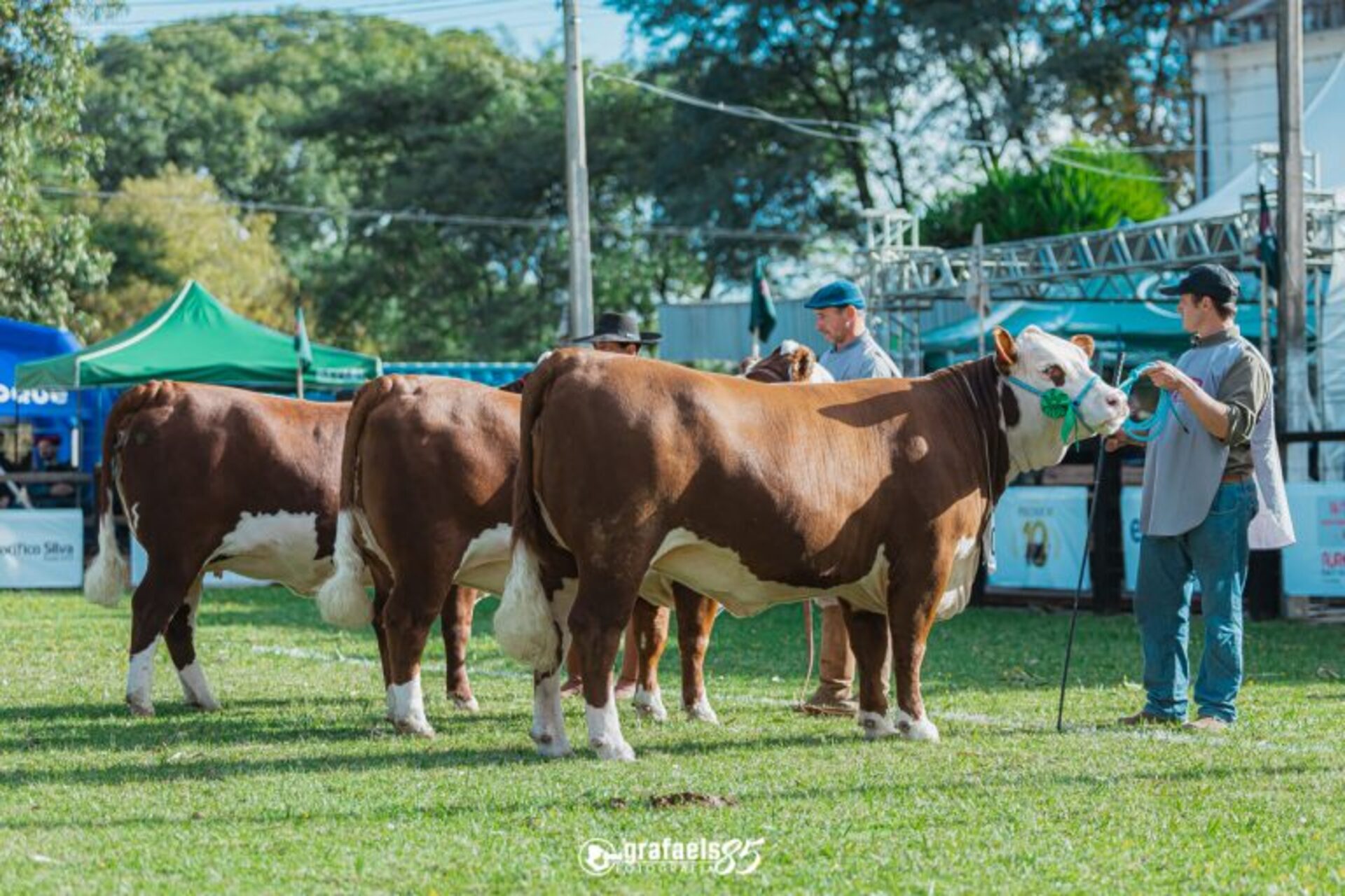 Julgamentos, comercialização de animais, palestras e concurso gastronômico estão na programação.