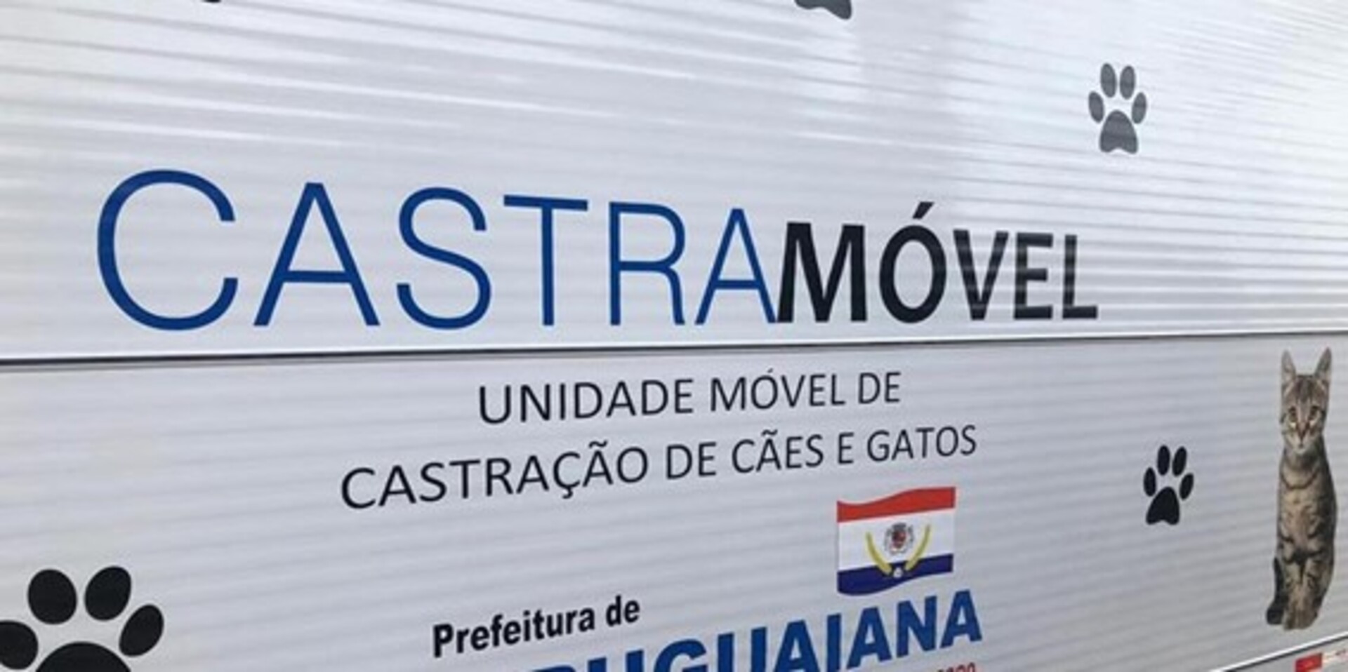 Somente em 2023 já foram realizadas mais de 300 castrações através do programa.