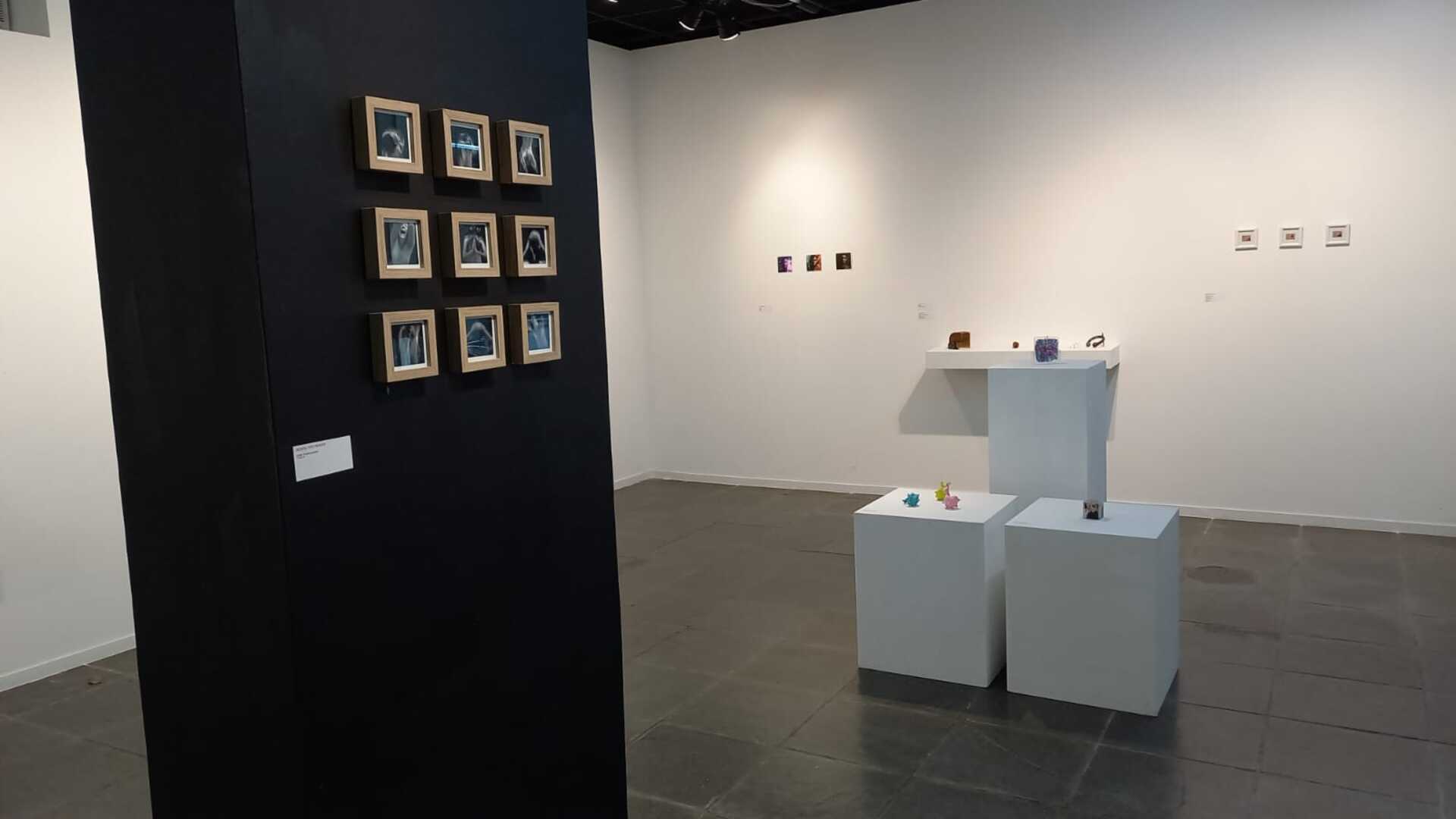 Mostra reúne 28 trabalhos de artes visuais de artistas de várias partes do País.