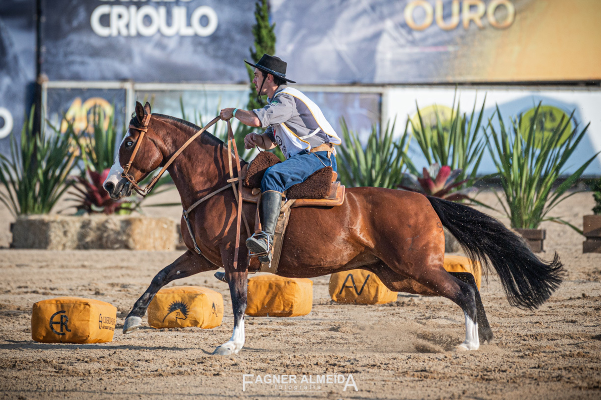 Evento habilitará novos conjuntos para a final do Freio de Ouro 2023, que acontece durante a Expointer, em Esteio.