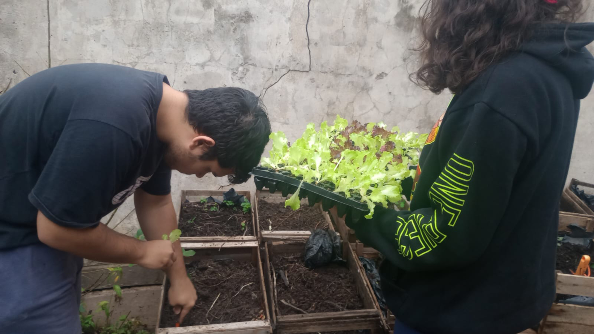 O plantio simboliza a retomada da Horta Solidária que foi suspensa no período severo do verão.