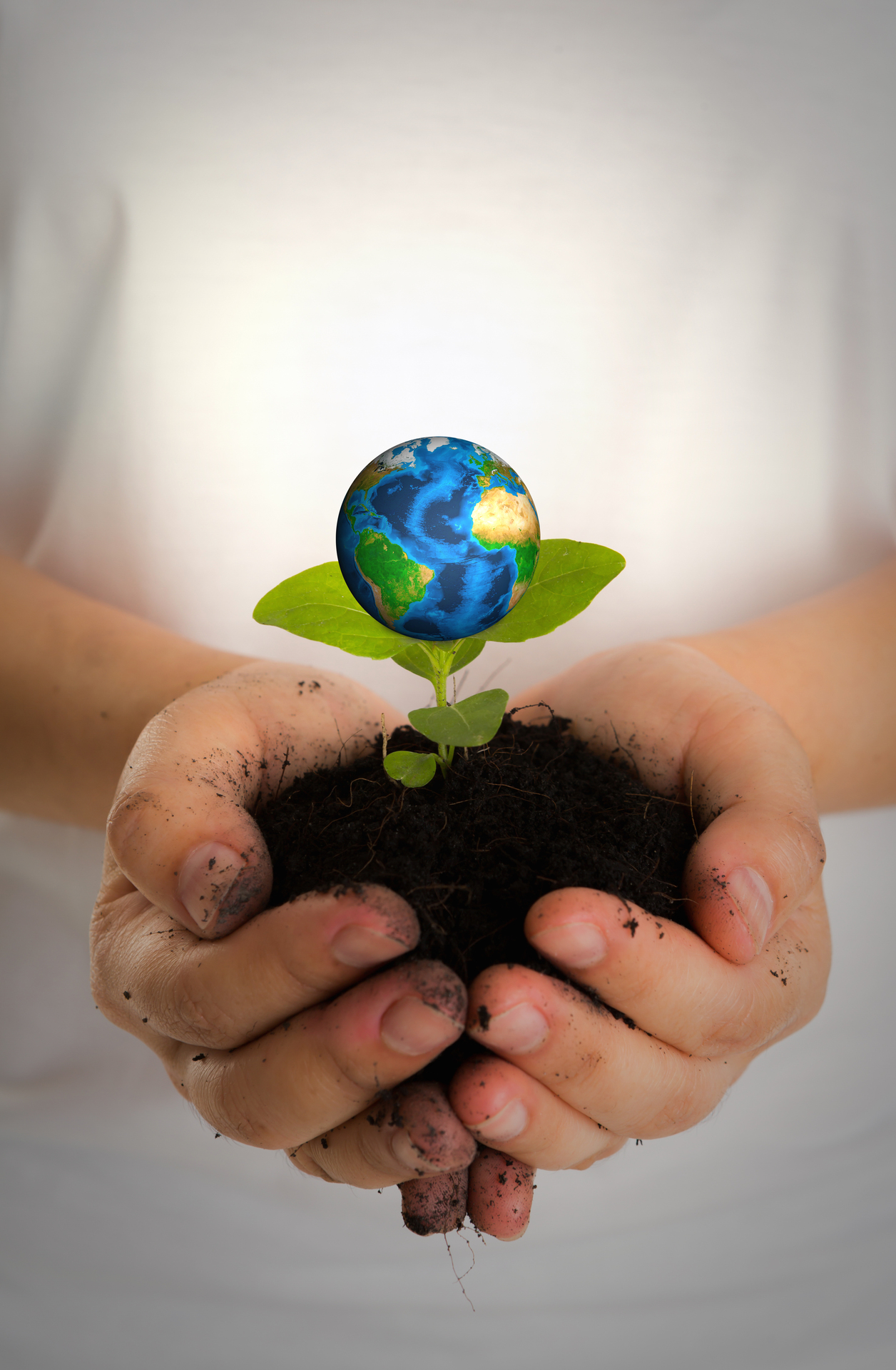 O encontro irá debater sobre meio ambiente, sustentabilidade e bem-estar animal.