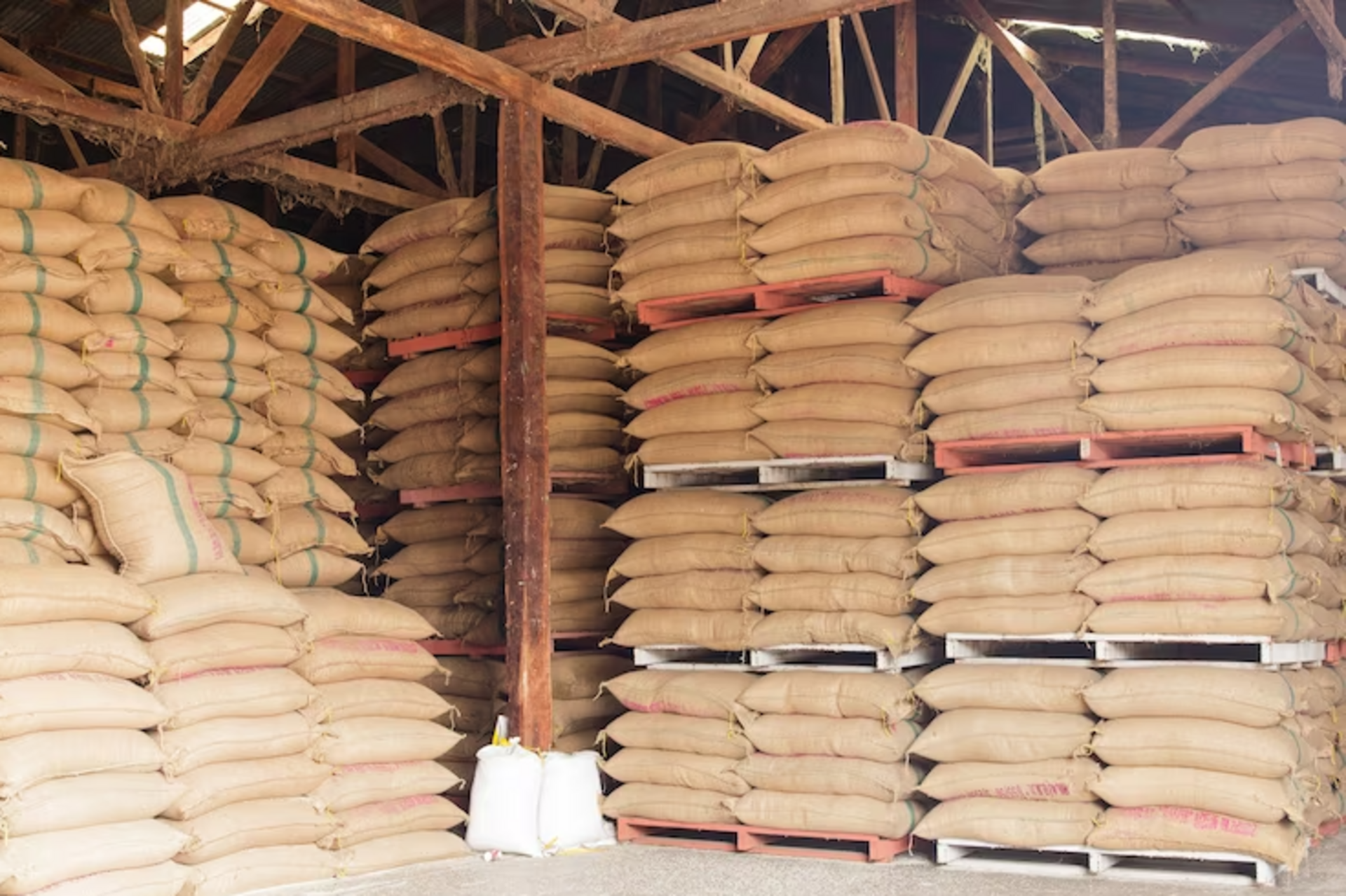 Polícia identificou o furto qualificado de 55 mil sacos de arroz.