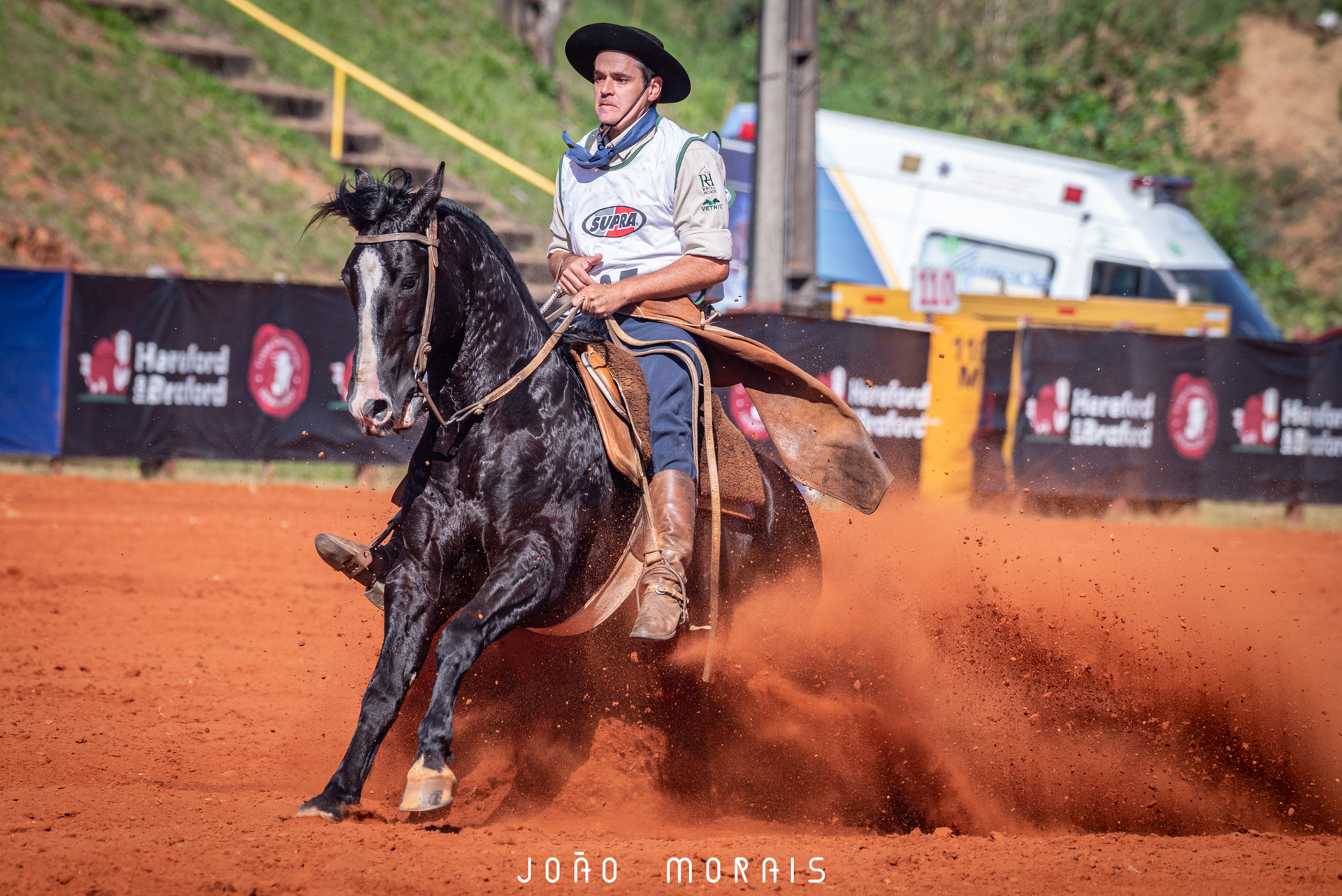 Entre os machos, o primeiro lugar no pódio ficou com Entrevero Della Tersa, o mais velho a competir nesta classificatória, com 12 anos.