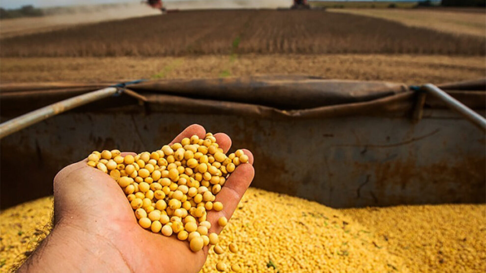 Do total de recursos disponibilizados, a agricultura empresarial terá R$ 272,12 bilhões.