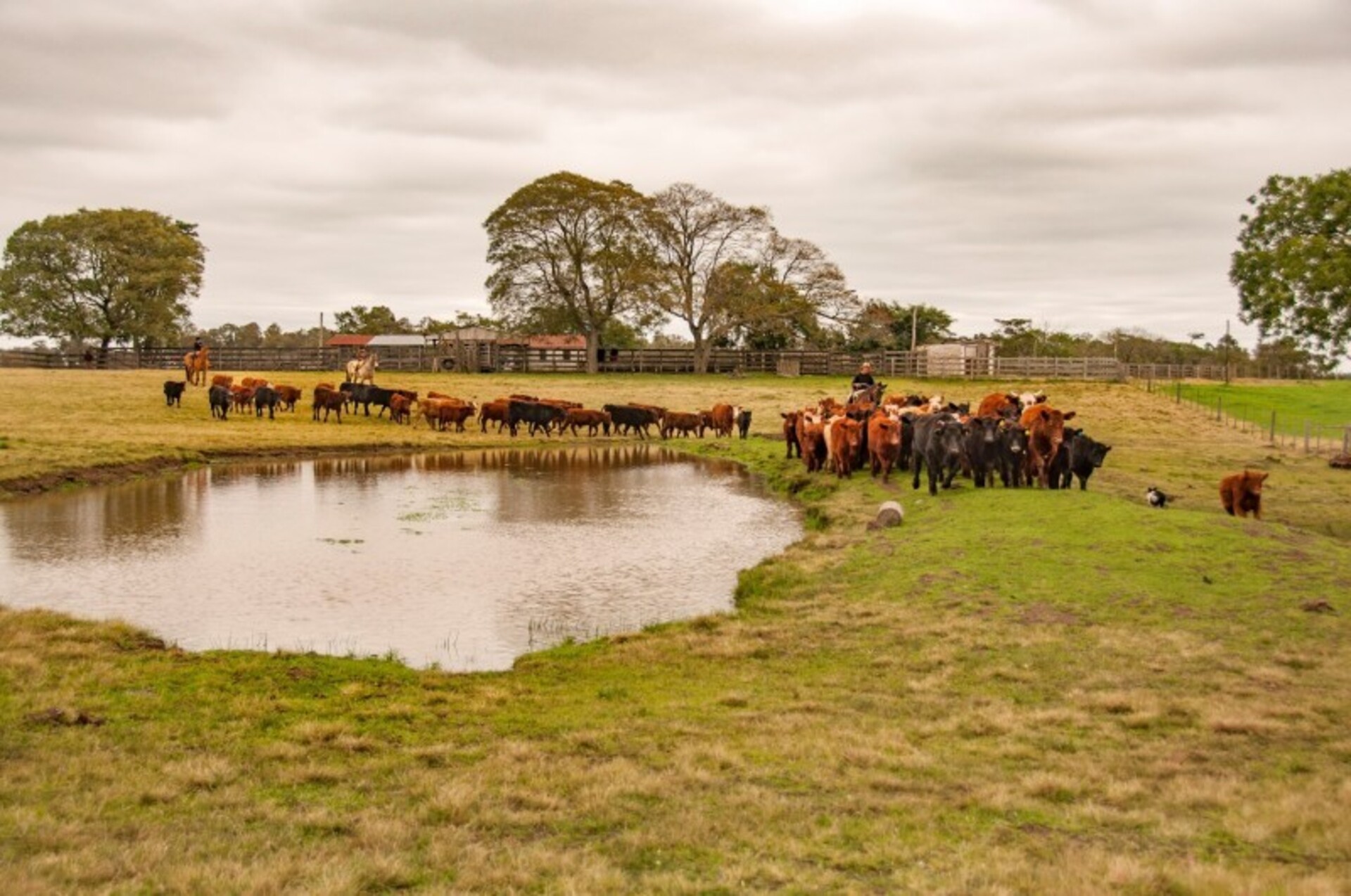 Estado credita redução à Operação Agro-Hórus e ações das Decrabs.