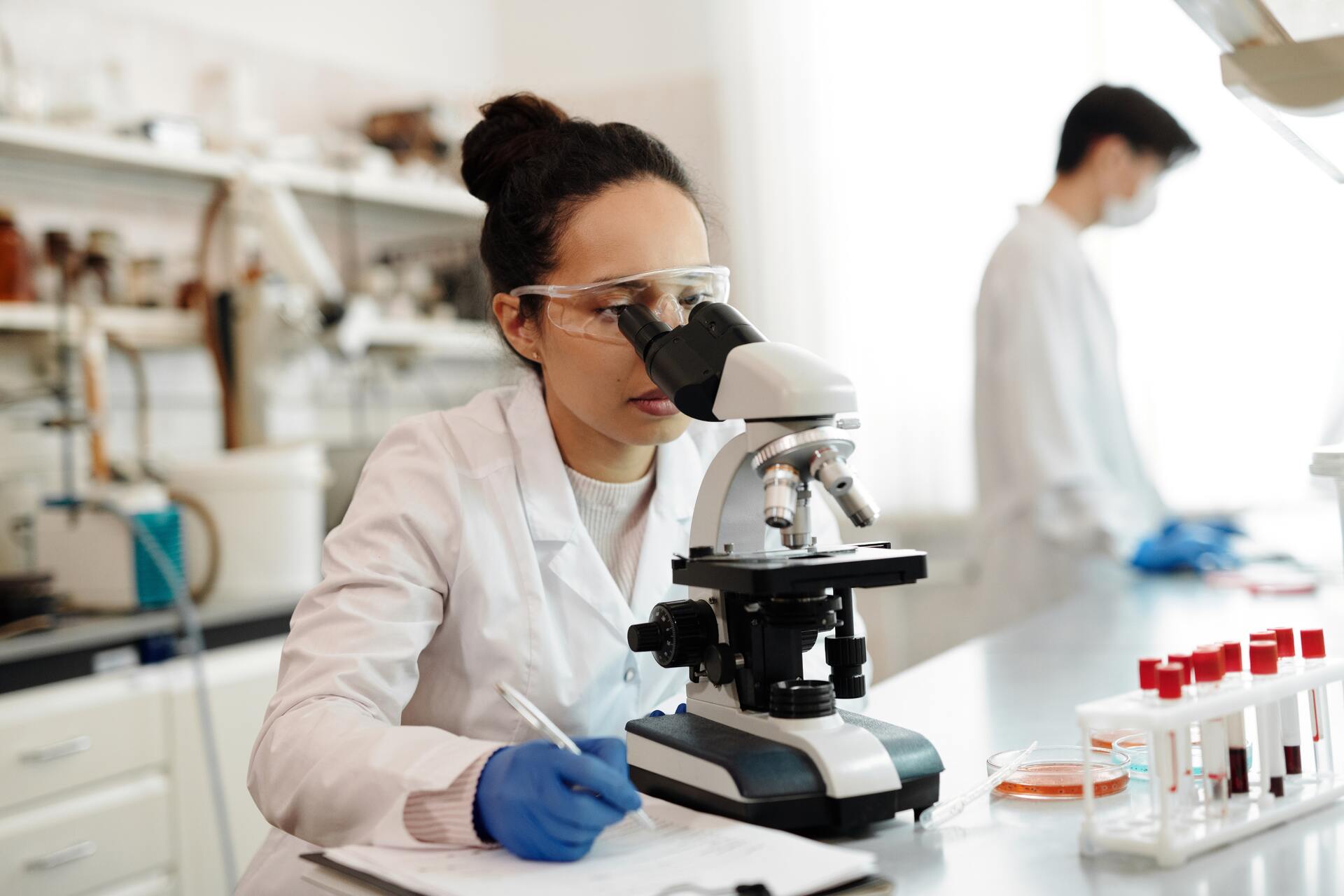 Estudo foi realizado por pesquisadores da USP e da Universidade Cornell, dos EUA.