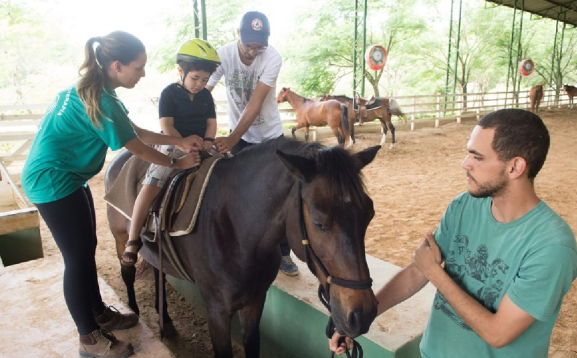 OAB Barro Preto - PL sobre a regulamentação da equoterapia será analisada