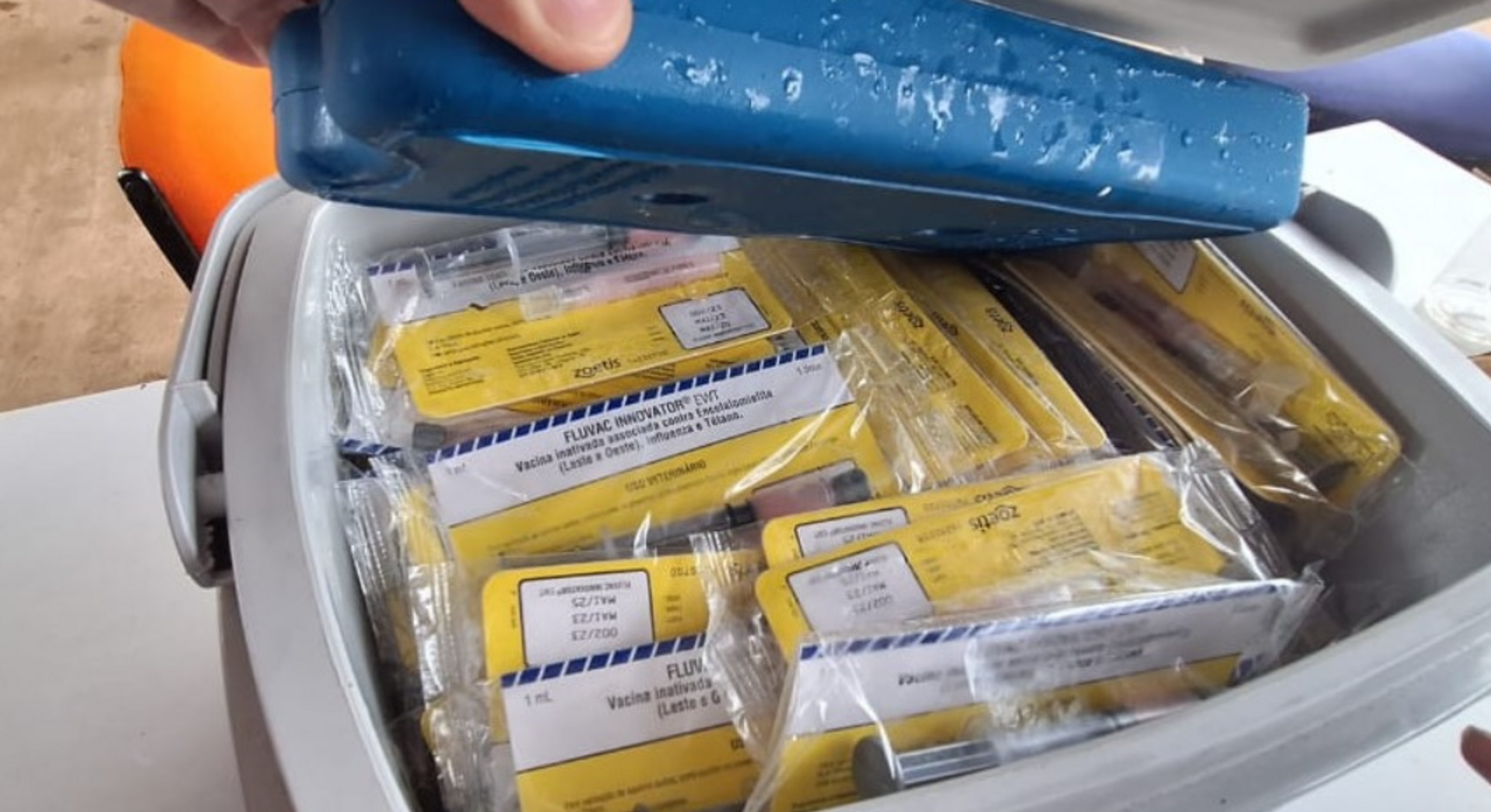 OAB Barro Preto - Vacinas são apreendidas na fronteira entre Libres e Uruguaiana