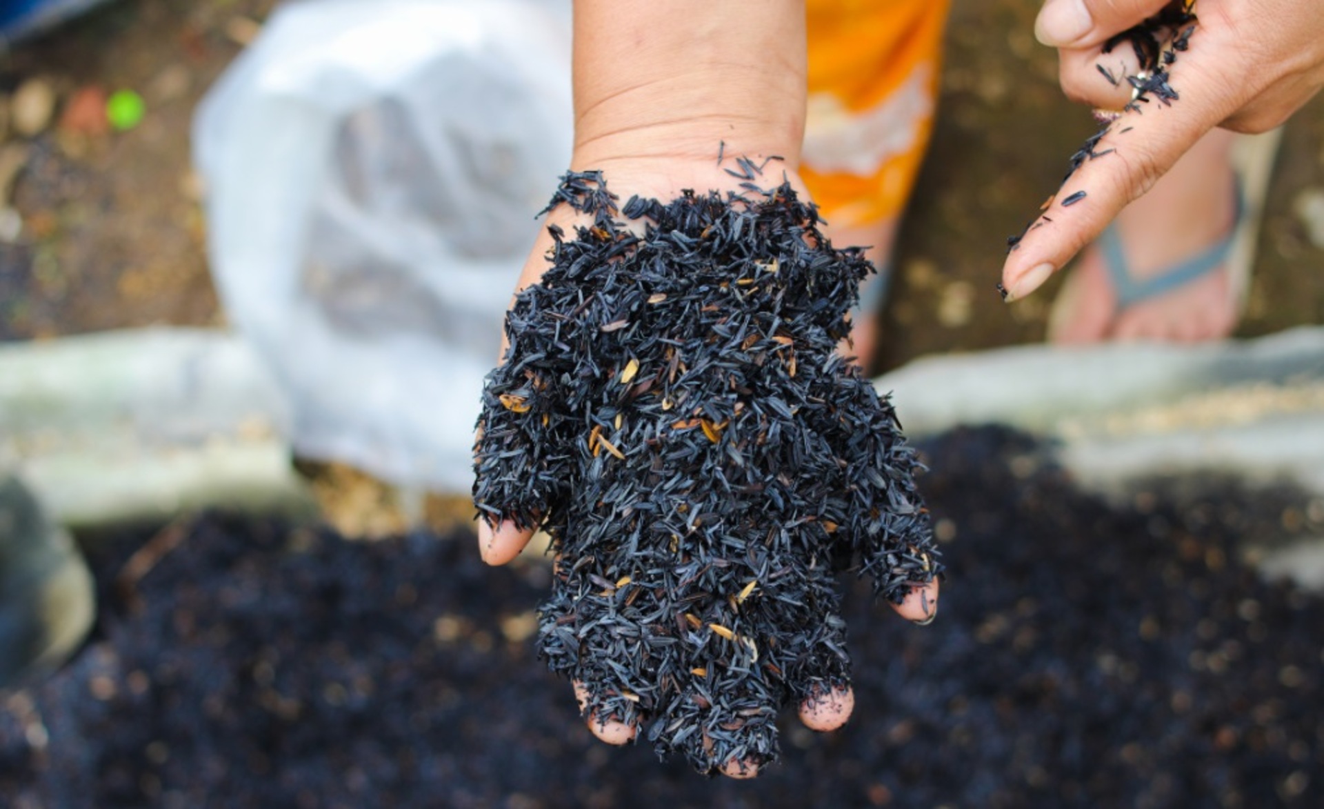 OAB Barro Preto - Câmara aprova projeto que destina área para instalação de usina na Charqueada