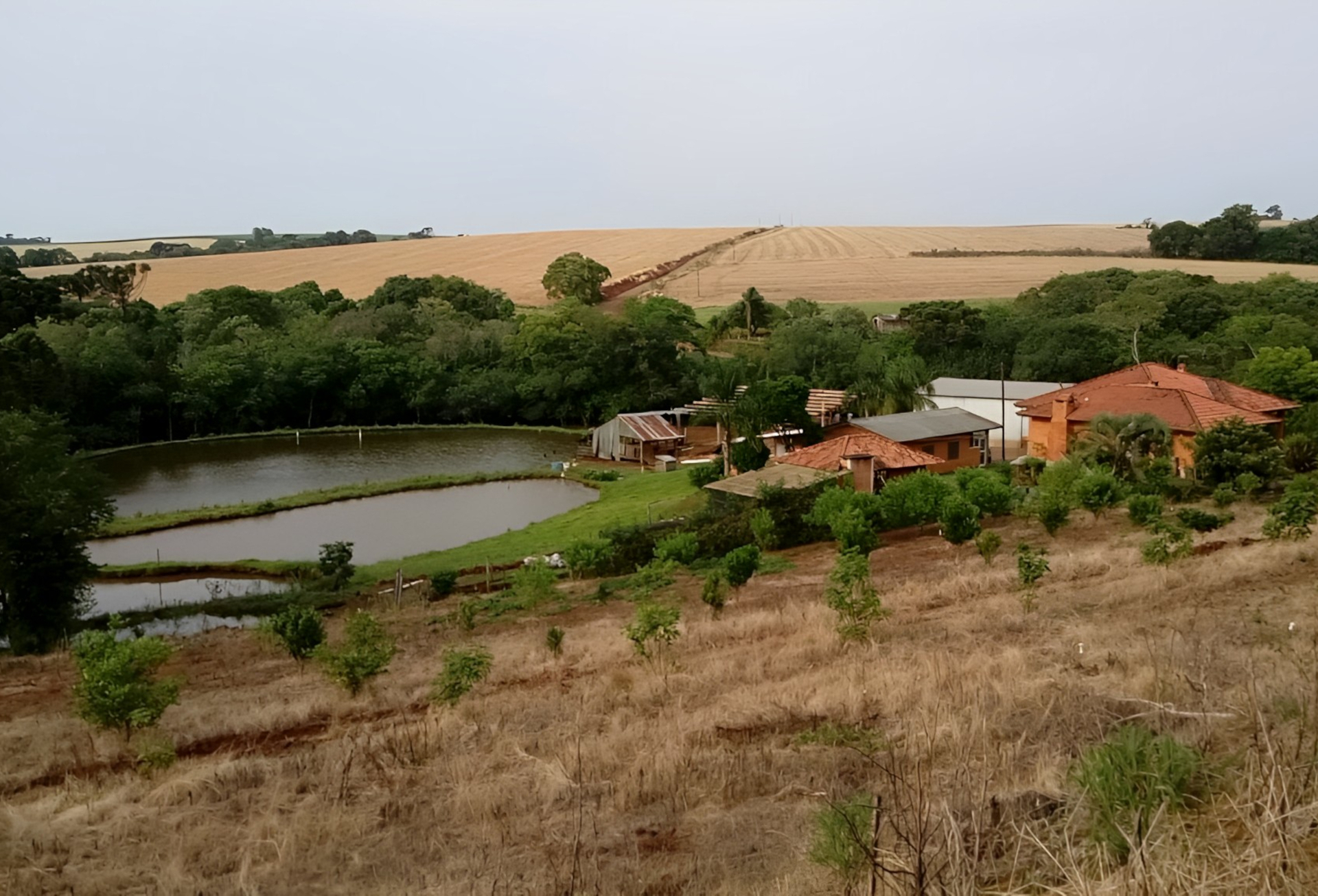 OAB Barro Preto - Produtor deve ter atenção sobre incidência tributária na sucessão de Holdings