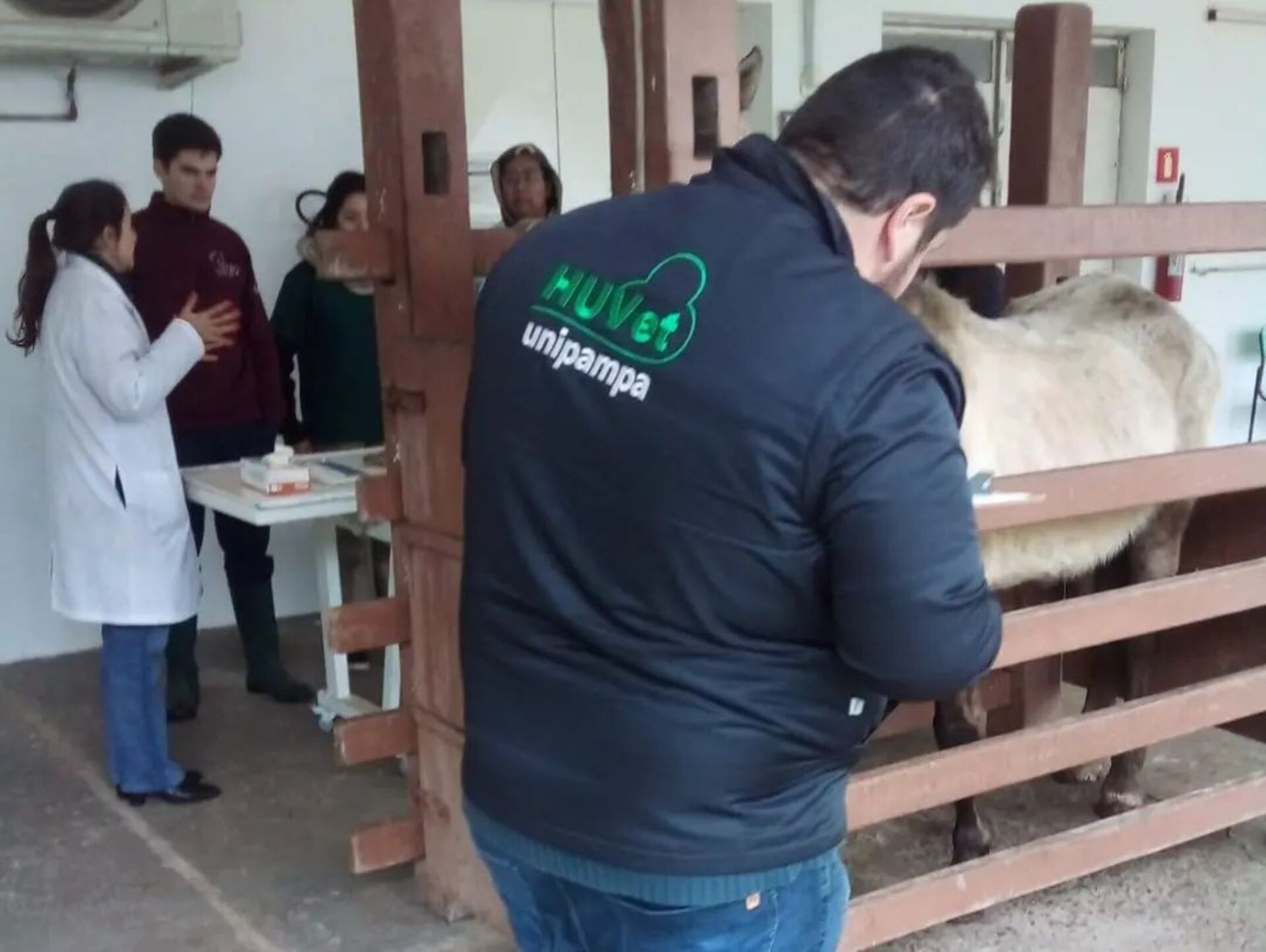 OAB Barro Preto - Mais de 900 animais foram microchipados em 2023