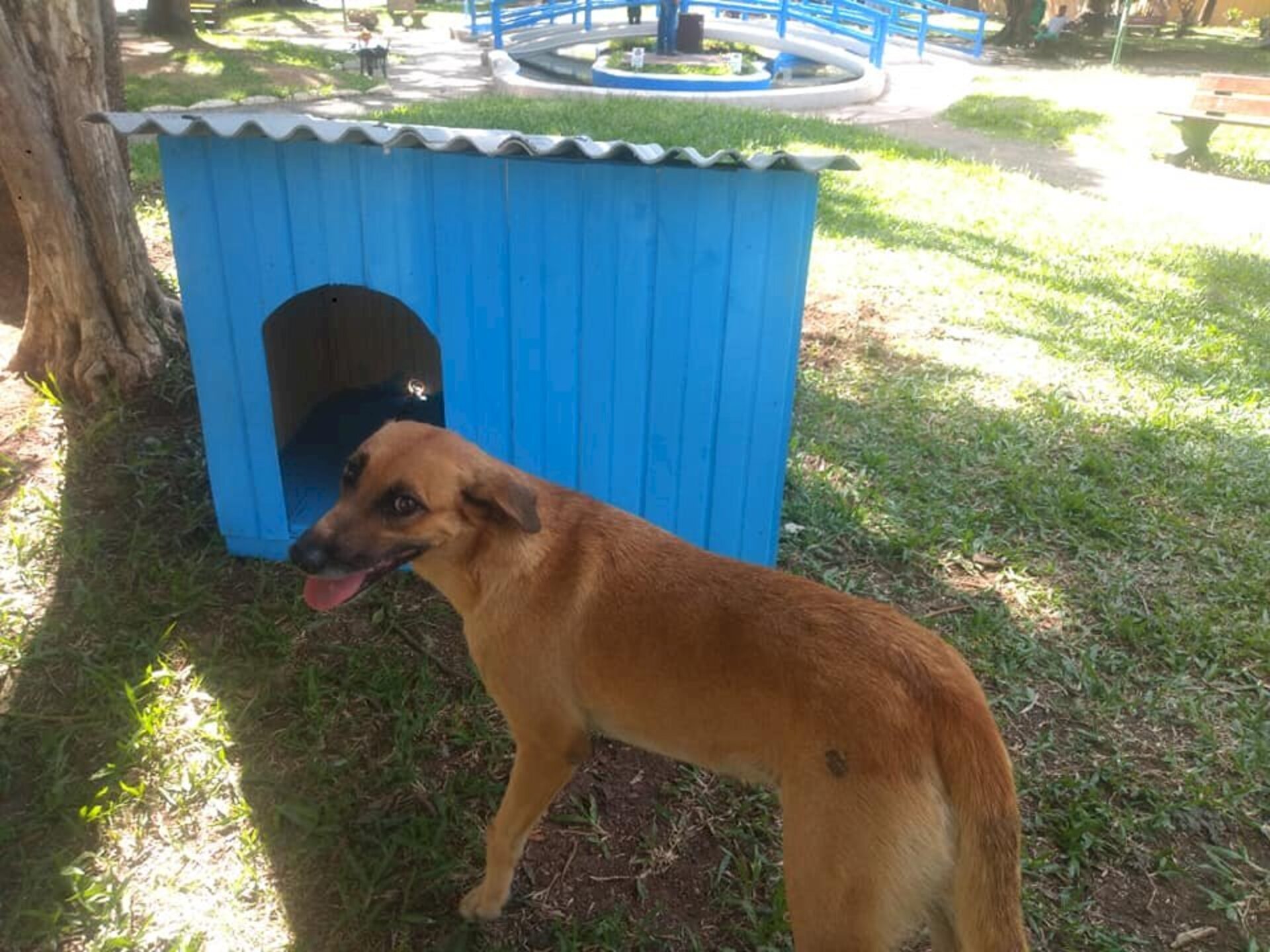 OAB Barro Preto - Homem é morto com pelo menos quatro tiros na cabeça