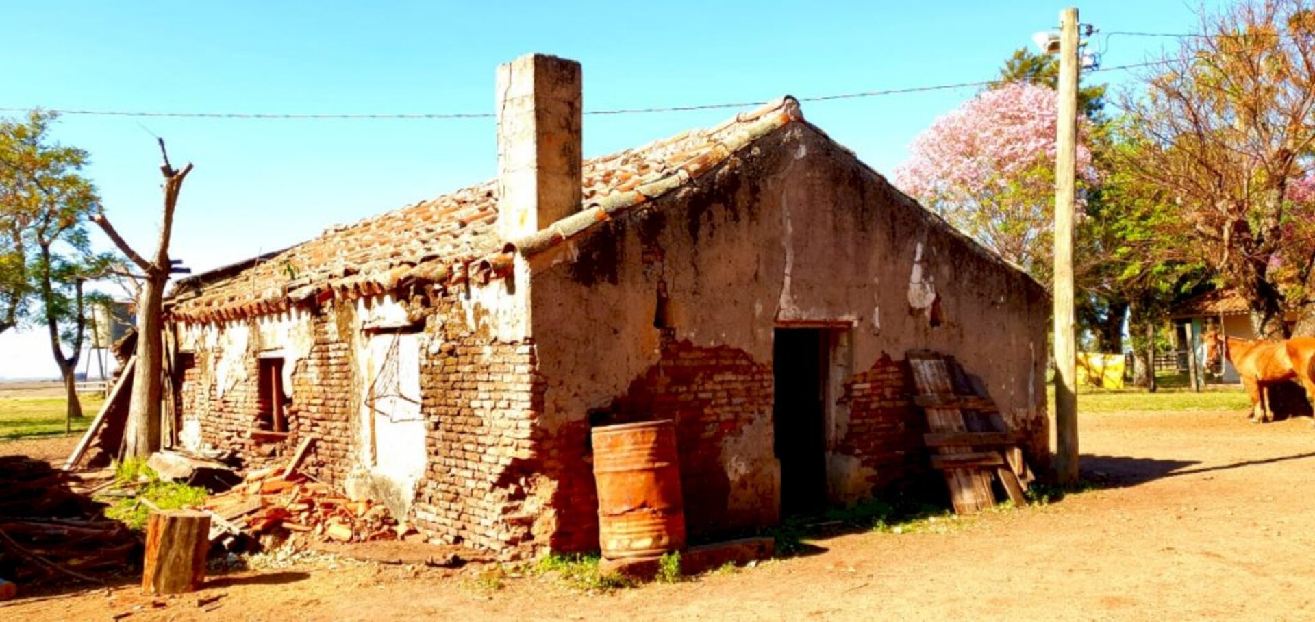 OAB Barro Preto - Rede de atendimento às mulheres vítimas de violência é discutida em reunião