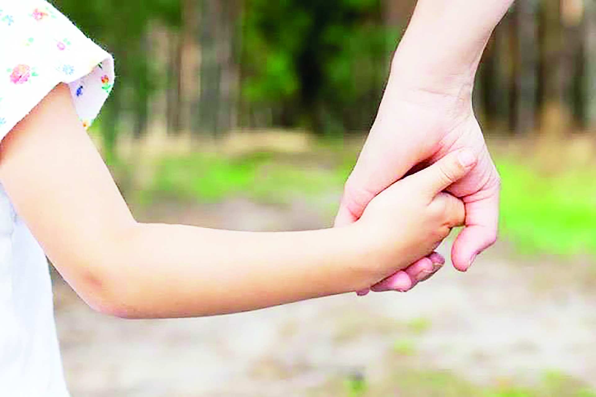 OAB Barro Preto - Vereadores analisam contratação de profissionais para a Sedes