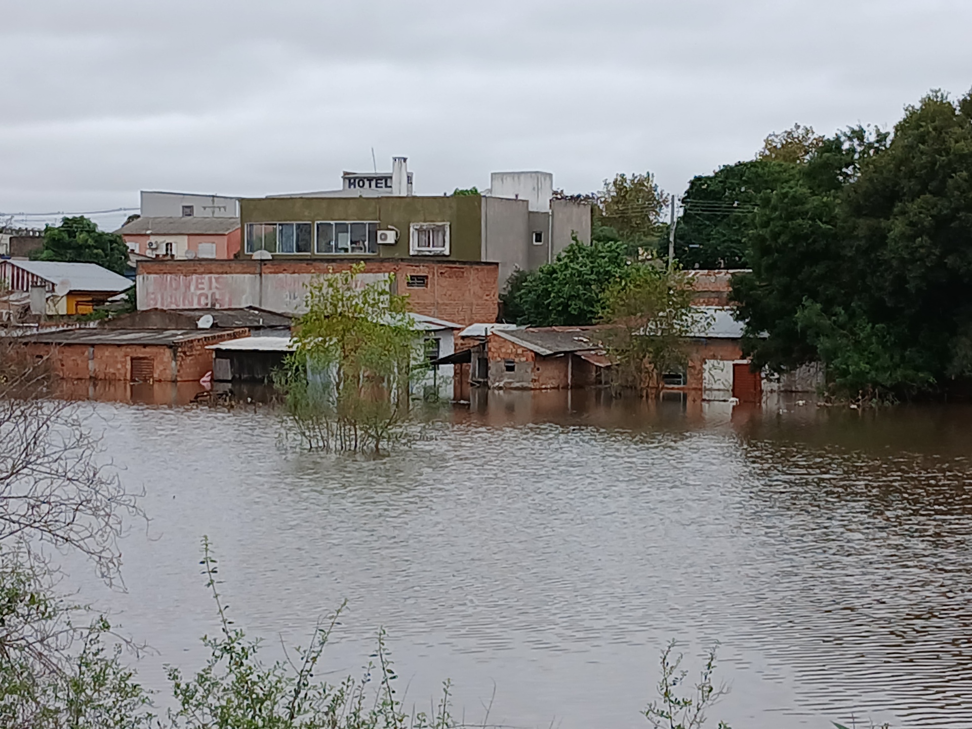 OAB Barro Preto - Testes para diagnostico de leptospirose são feitos somente em casos mais complexos, diz SMS