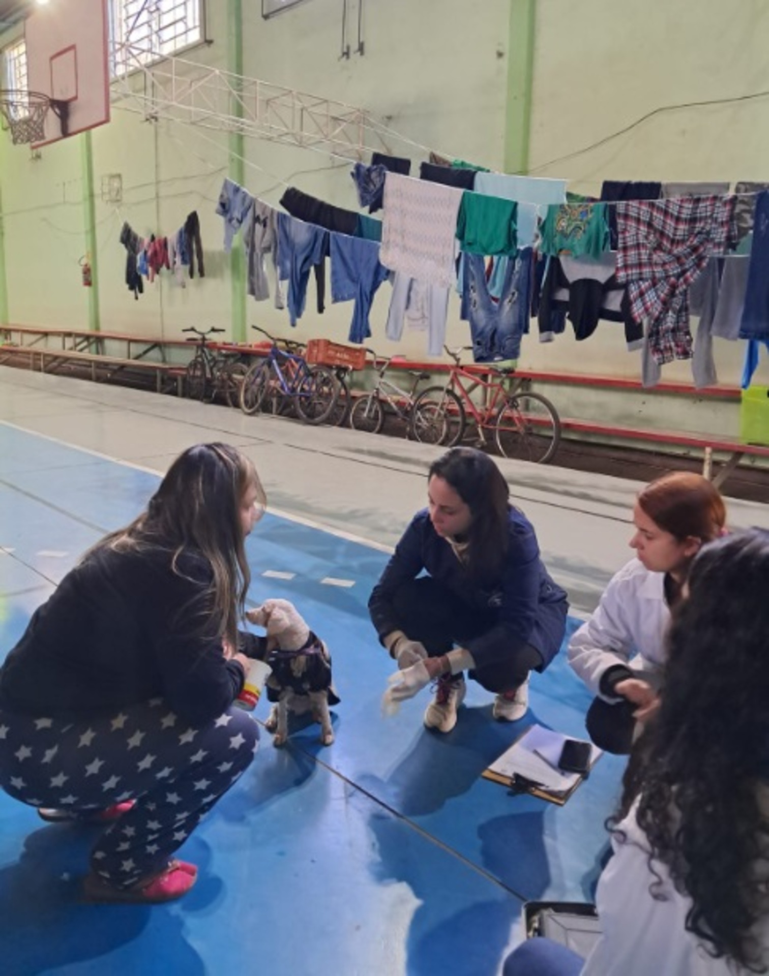 OAB Barro Preto - Atendimento