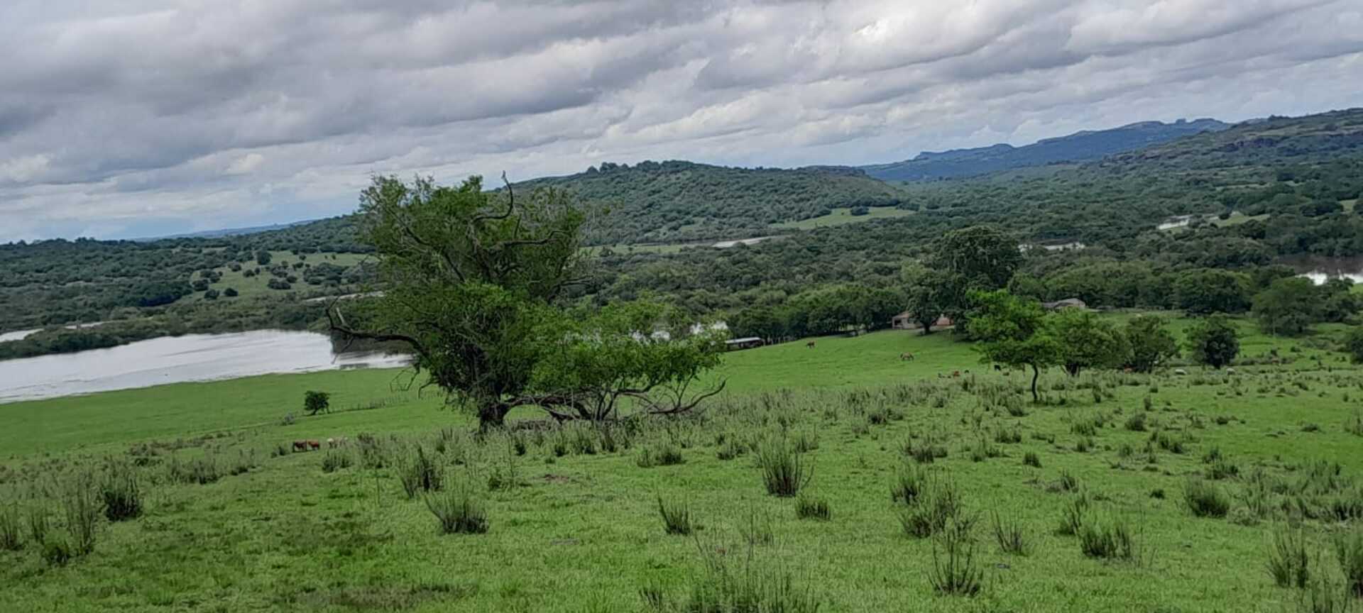 OAB Barro Preto - Desmatamento