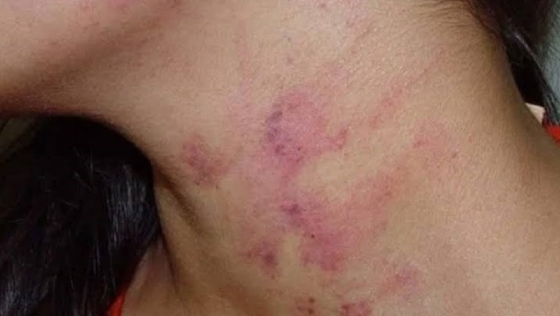 OAB Barro Preto - Aprovada lei que proíbe município de contratar condenados