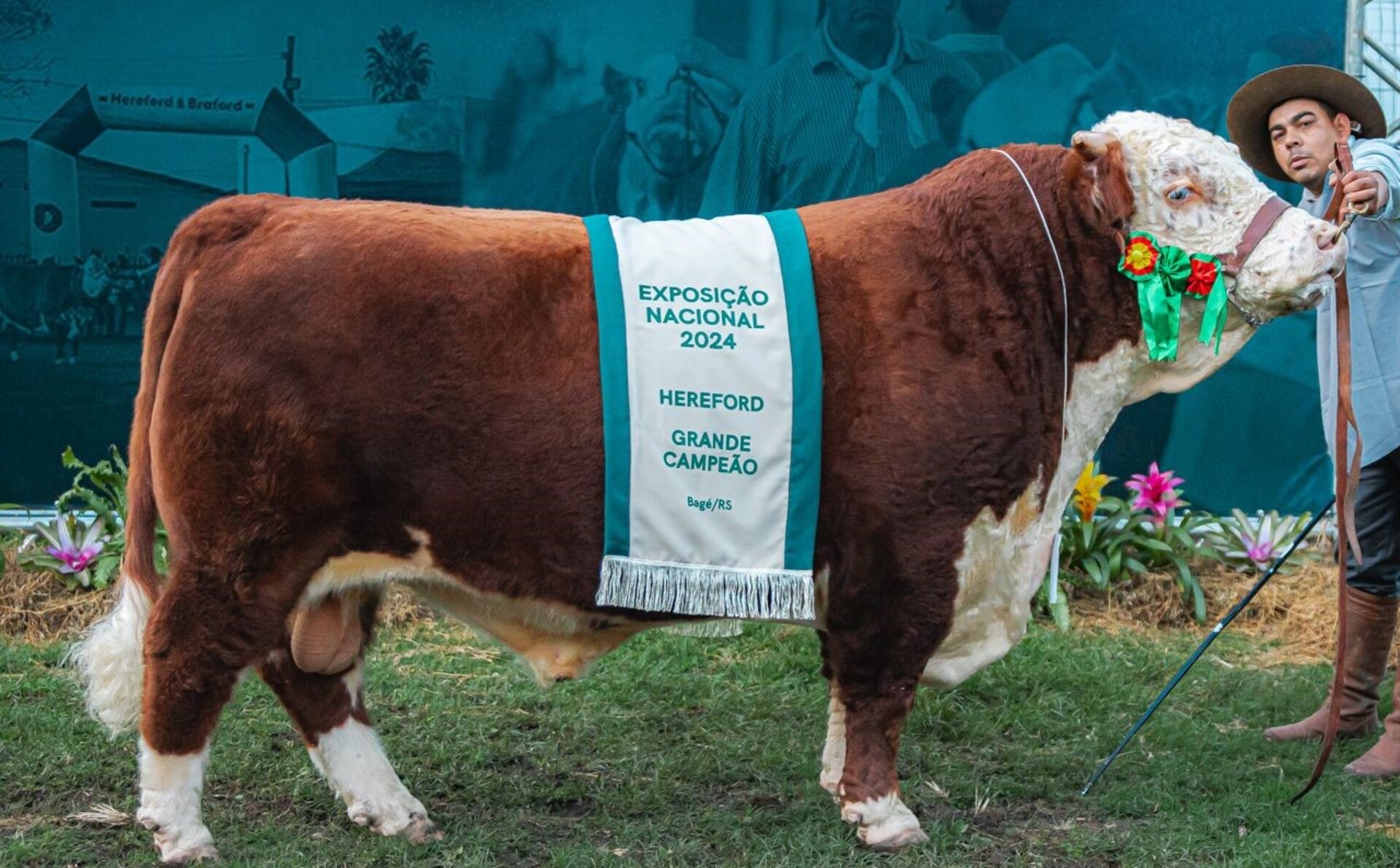 OAB Barro Preto - Grandes Campeões da raça Hereford são premiados