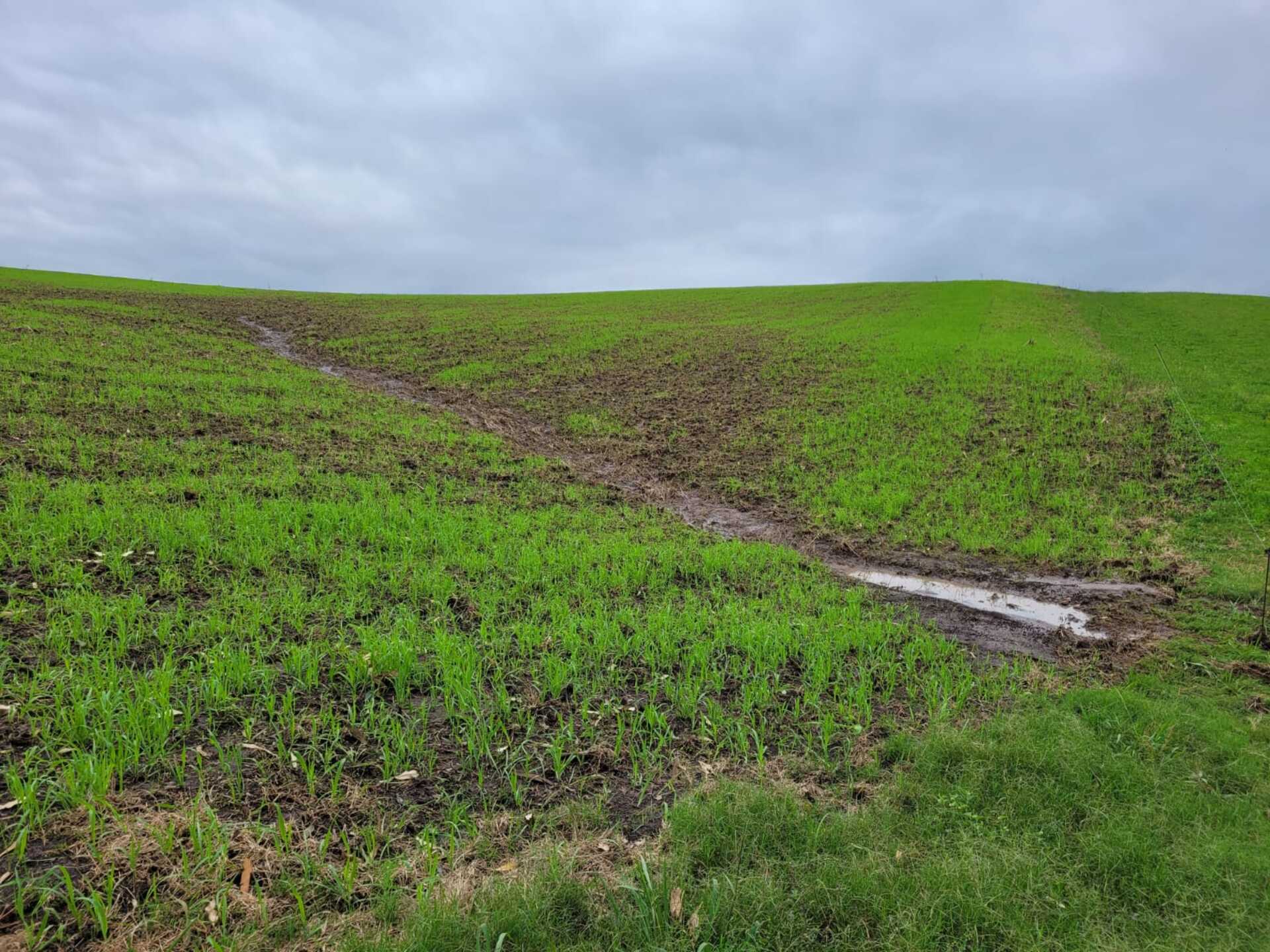 OAB Barro Preto - Produtores podem obter crédito com subvenção