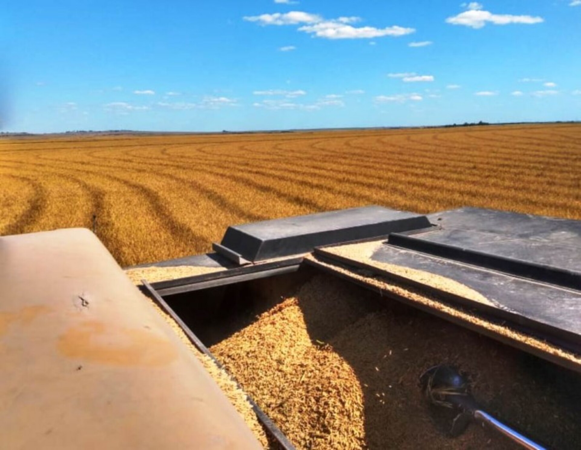 OAB Barro Preto - Agricultura familiar terá R$ 76 bilhões para produção