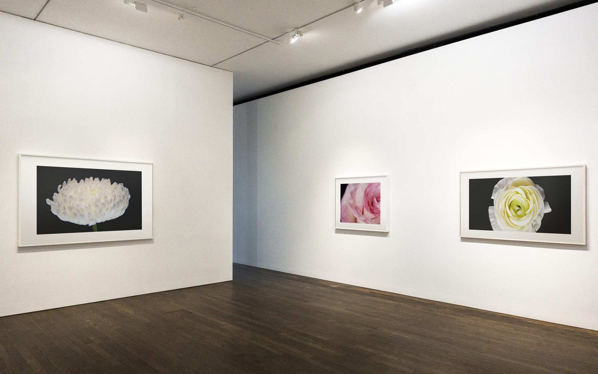 OAB Barro Preto - Sesc Uruguaiana lança exposição fotográfica “Eu, ontem”