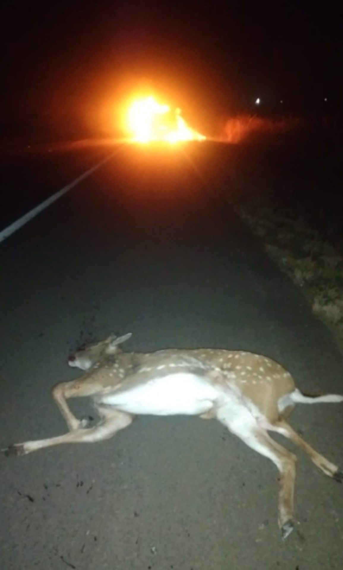 OAB Barro Preto - MOTORISTA DO TFD EVITA CAPOTAGEM E SALVA TRÊS VIDAS