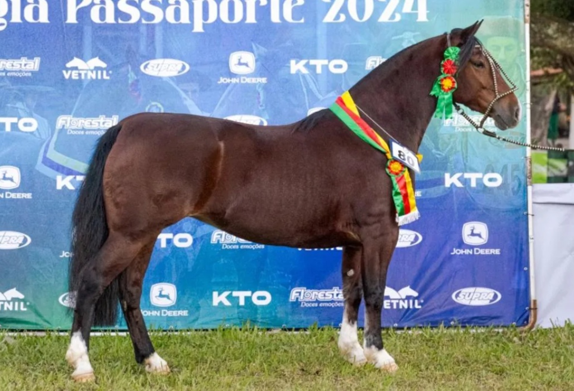 OAB Barro Preto - Exposição