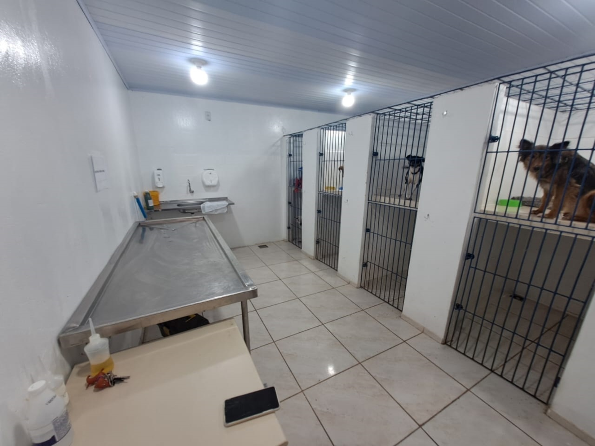 OAB Barro Preto - Primeira clínica veterinária pública será inaugurada hoje