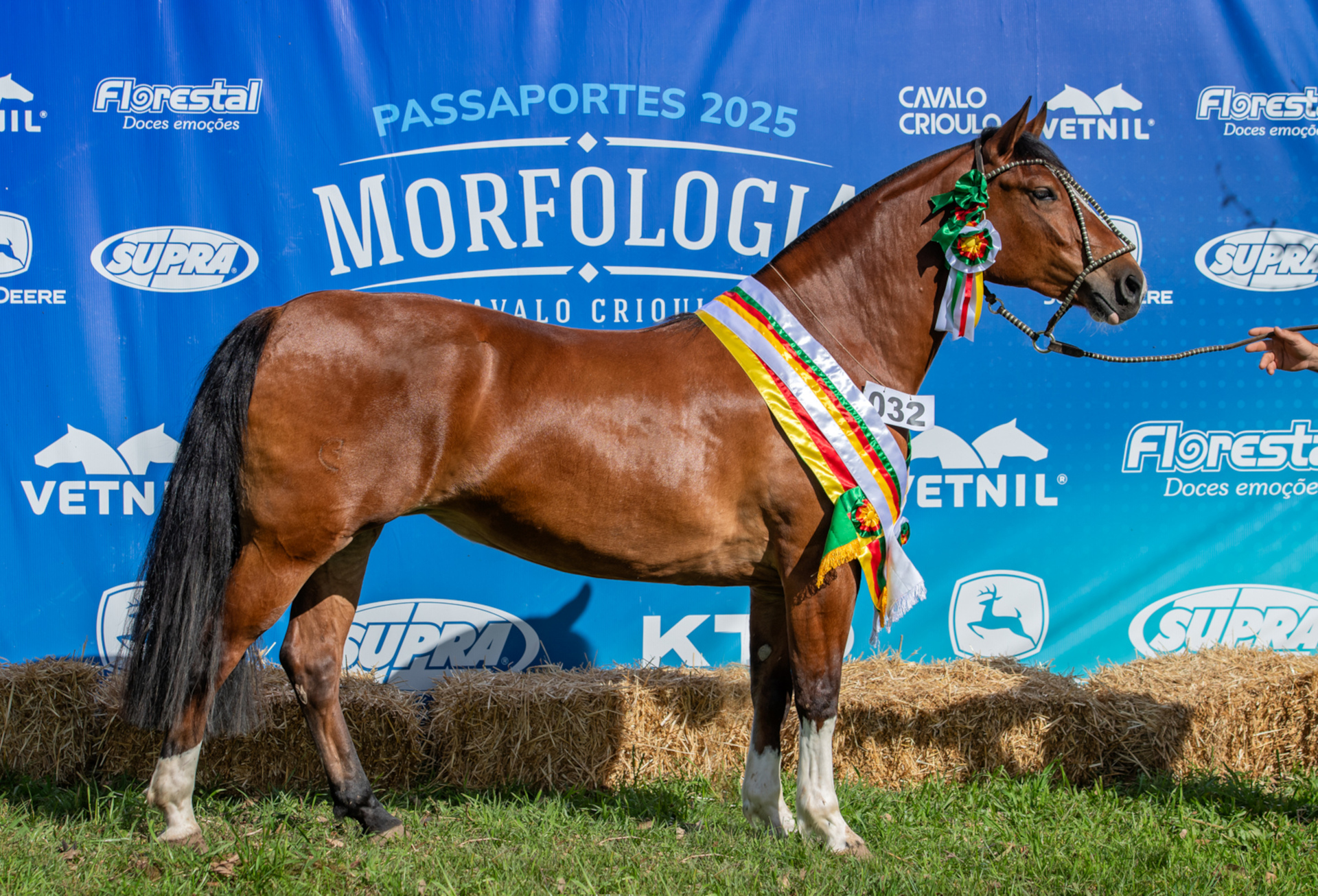 OAB Barro Preto - Pedras Altas tem os primeiros classificados do Ciclo 2025 da Morfologia