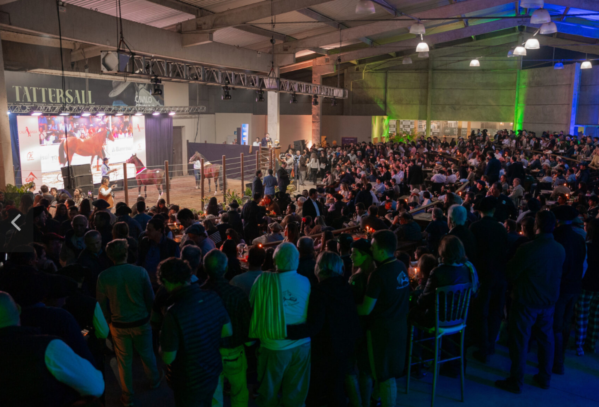 OAB Barro Preto - Raça Crioula movimenta mais de R$ 122 milhões de faturamento em 2024