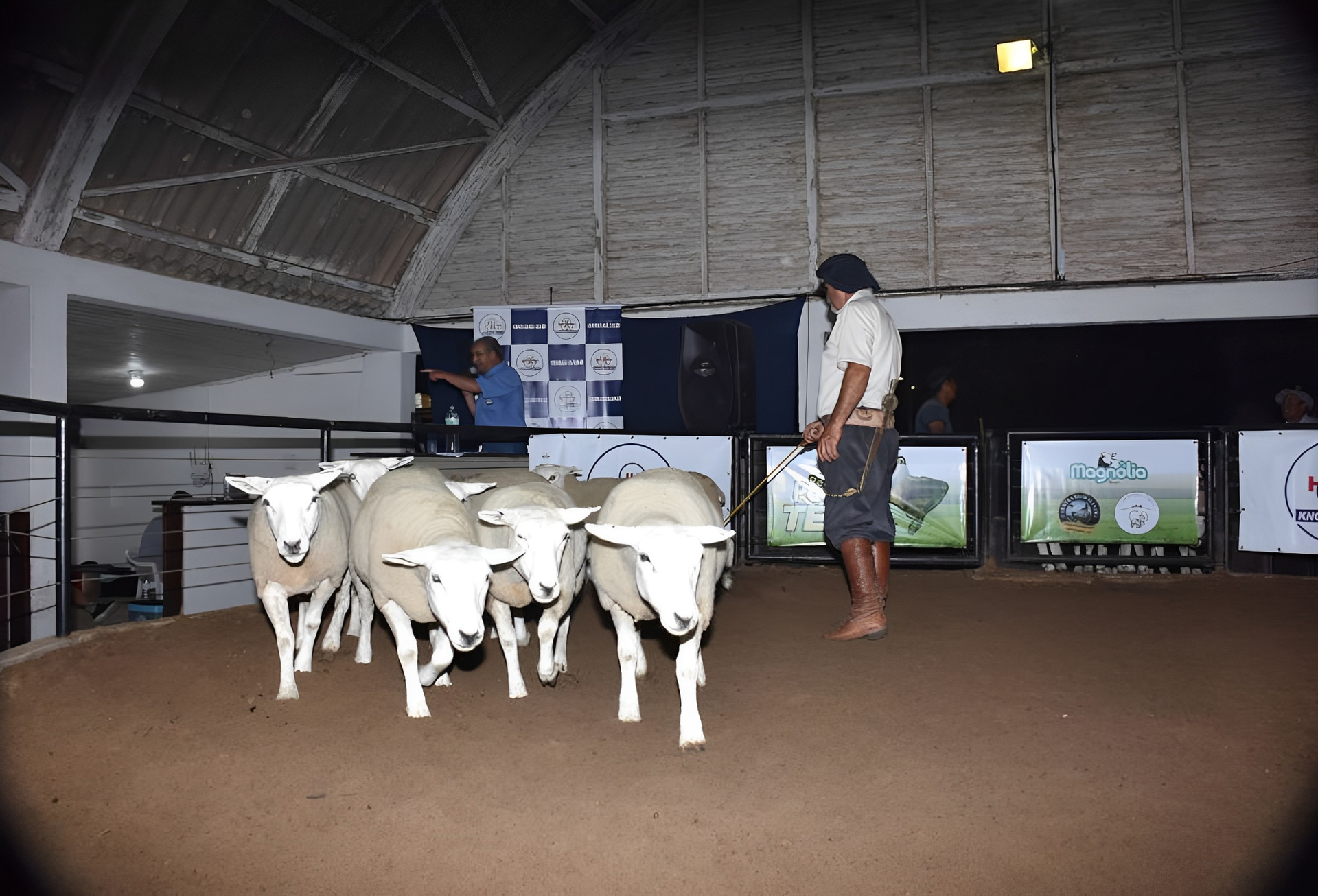 OAB Barro Preto - Termômetro para a Expointer, Agrovino começa nesta quarta-feira