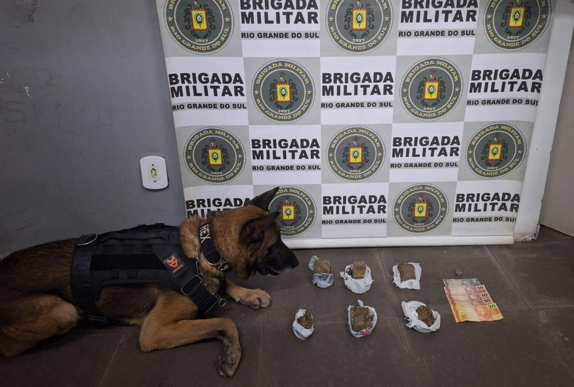 OAB Barro Preto - Carnaval Fora de Época foi de tranquilidade na segurança