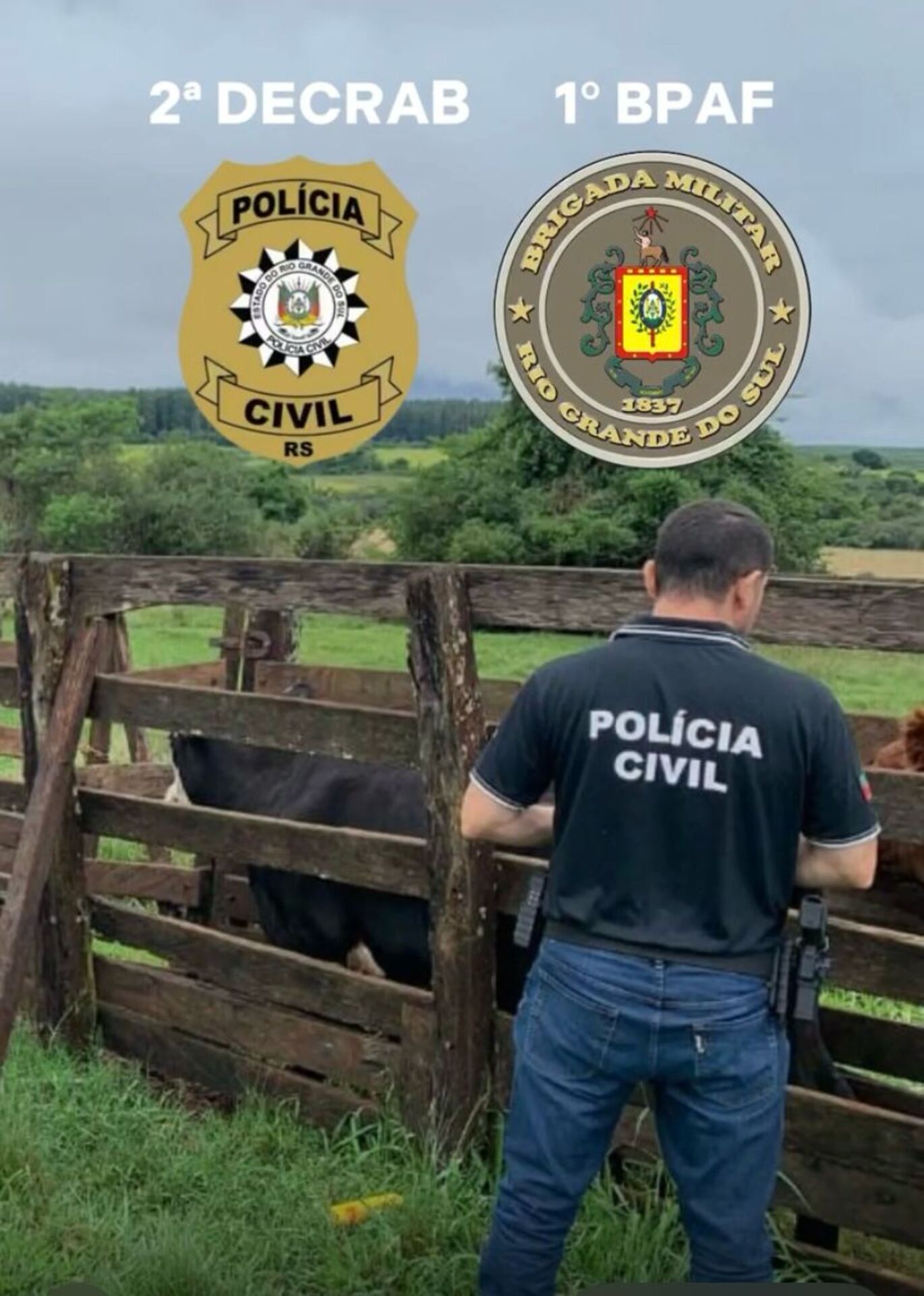 OAB Barro Preto - Decrab resgatam animais furtados em Santo Cristo