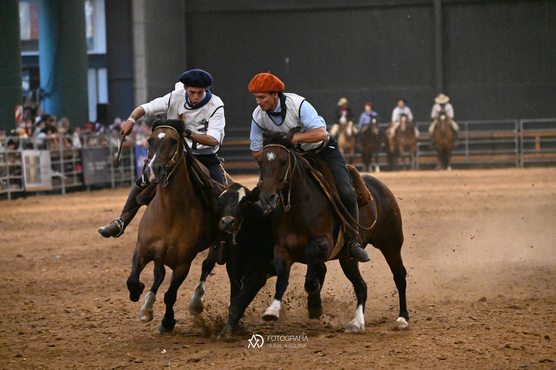 OAB Barro Preto - Disputa acirrada dá título à égua mais jovem da pista Argentina